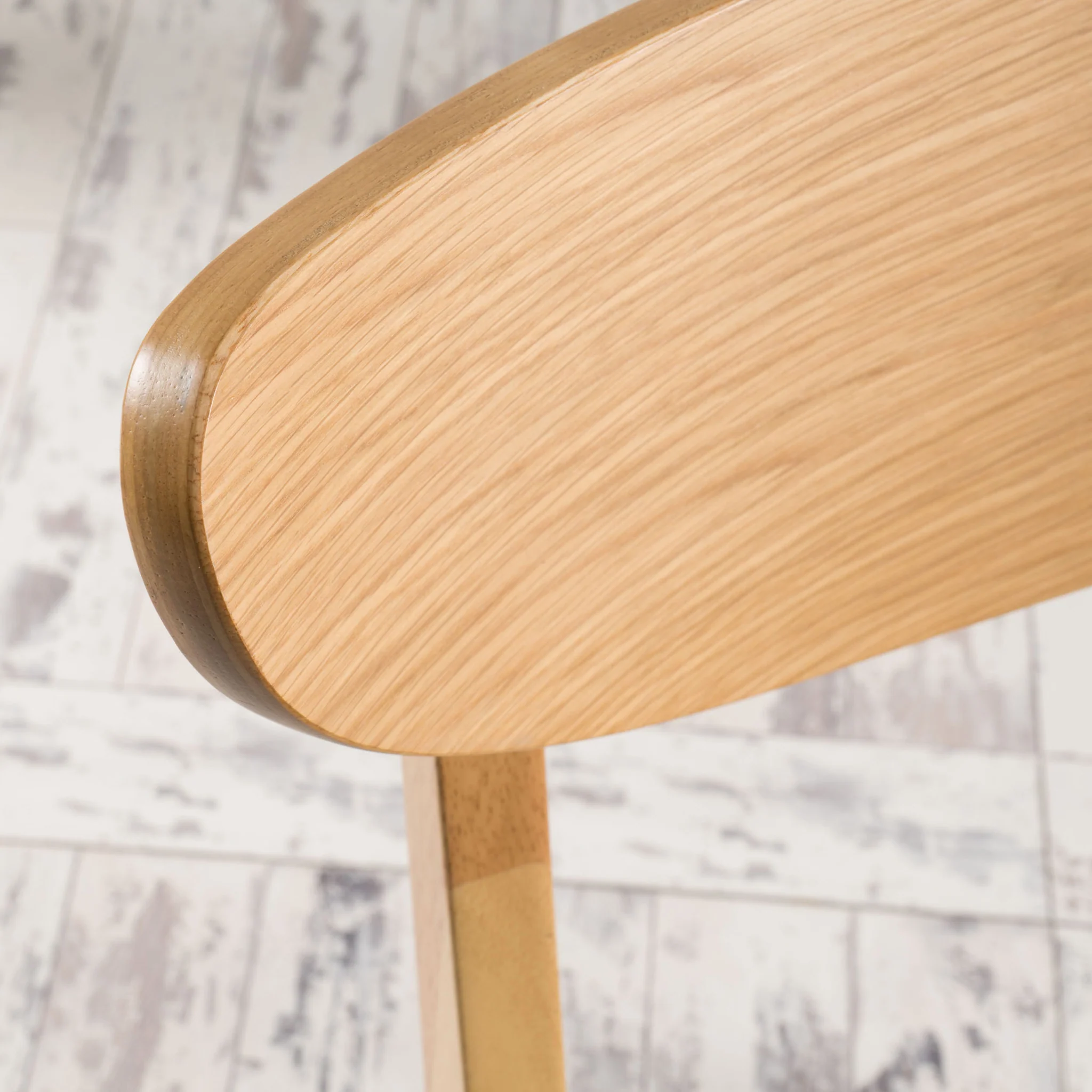Camilla Scandinavian Design Dining Chairs (set of 2) - furnishings