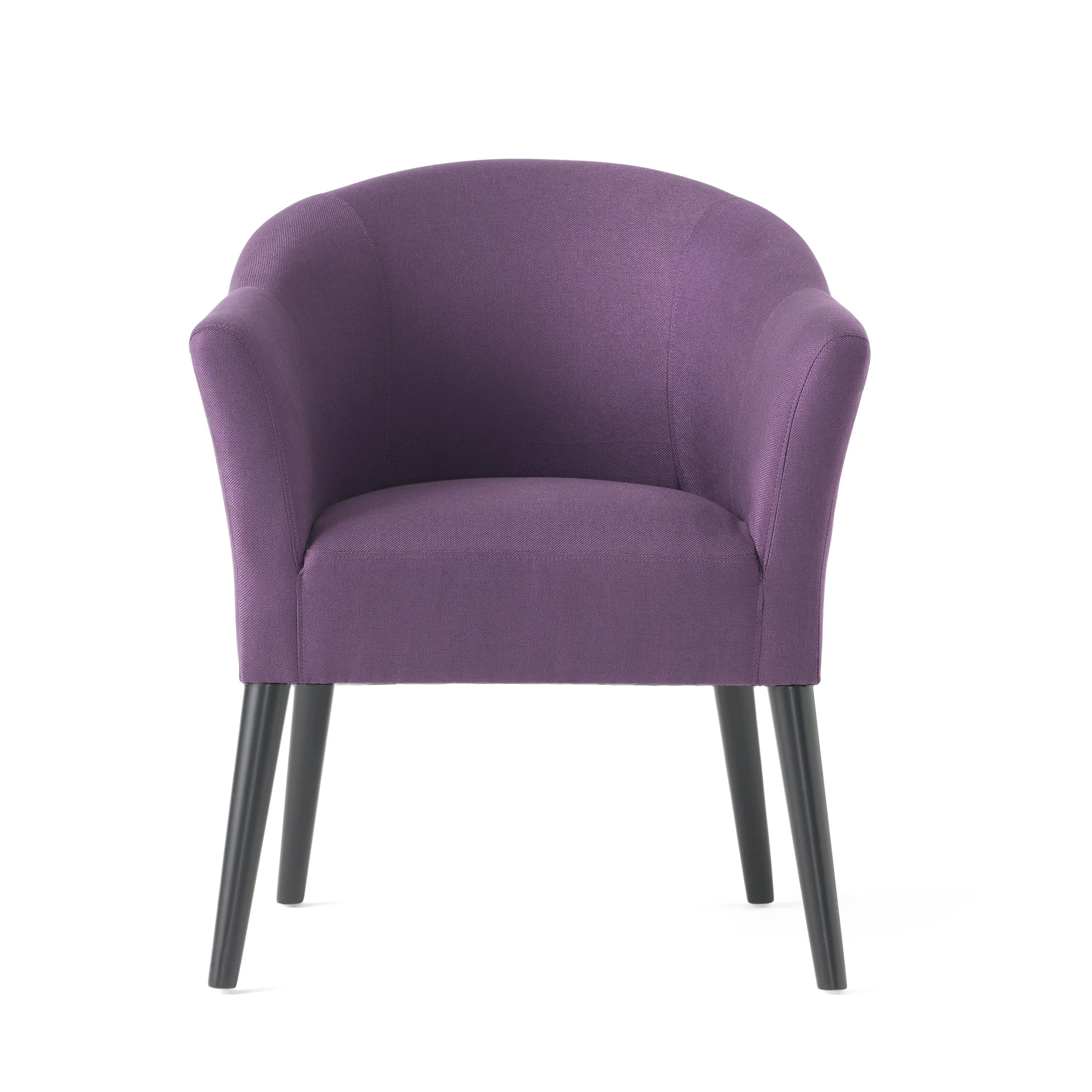 Charmaine Mid-Century Modern Low Back Fabric Accent Chair with Tapered Legs - furnishings