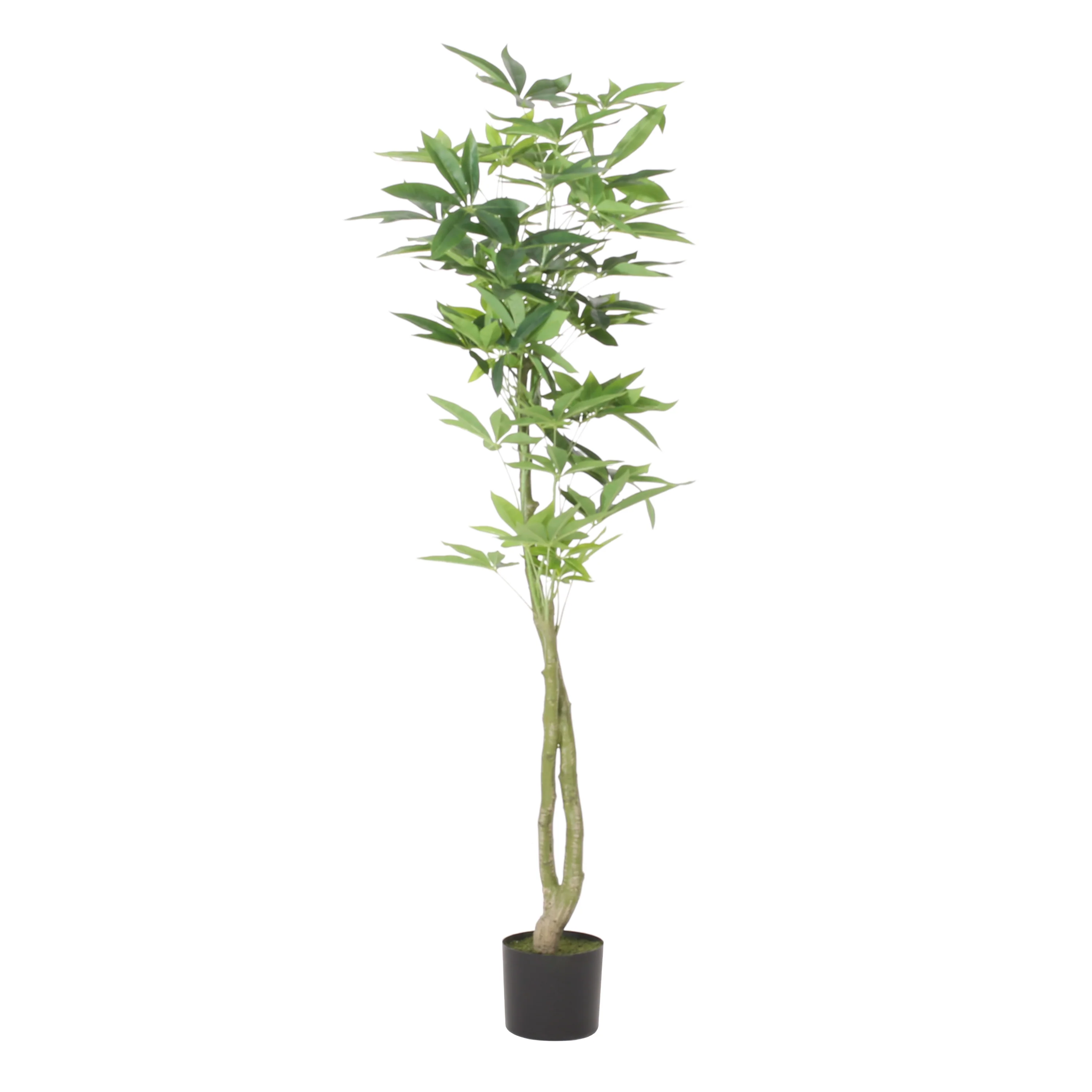Coles Artificial Money Tree - furnishings