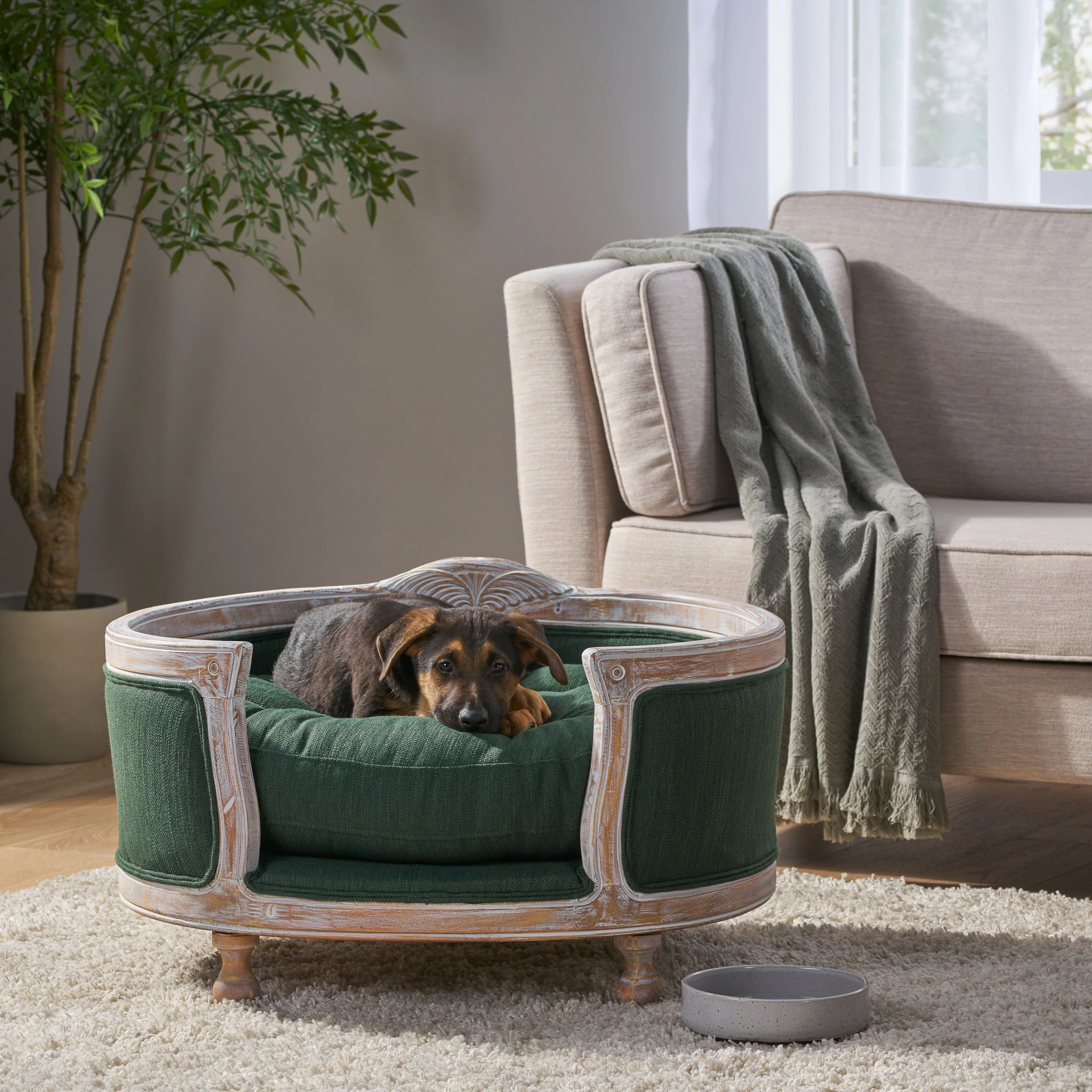 Burgos Contemporary Upholstered Medium Pet Bed with Wood Frame - furnishings