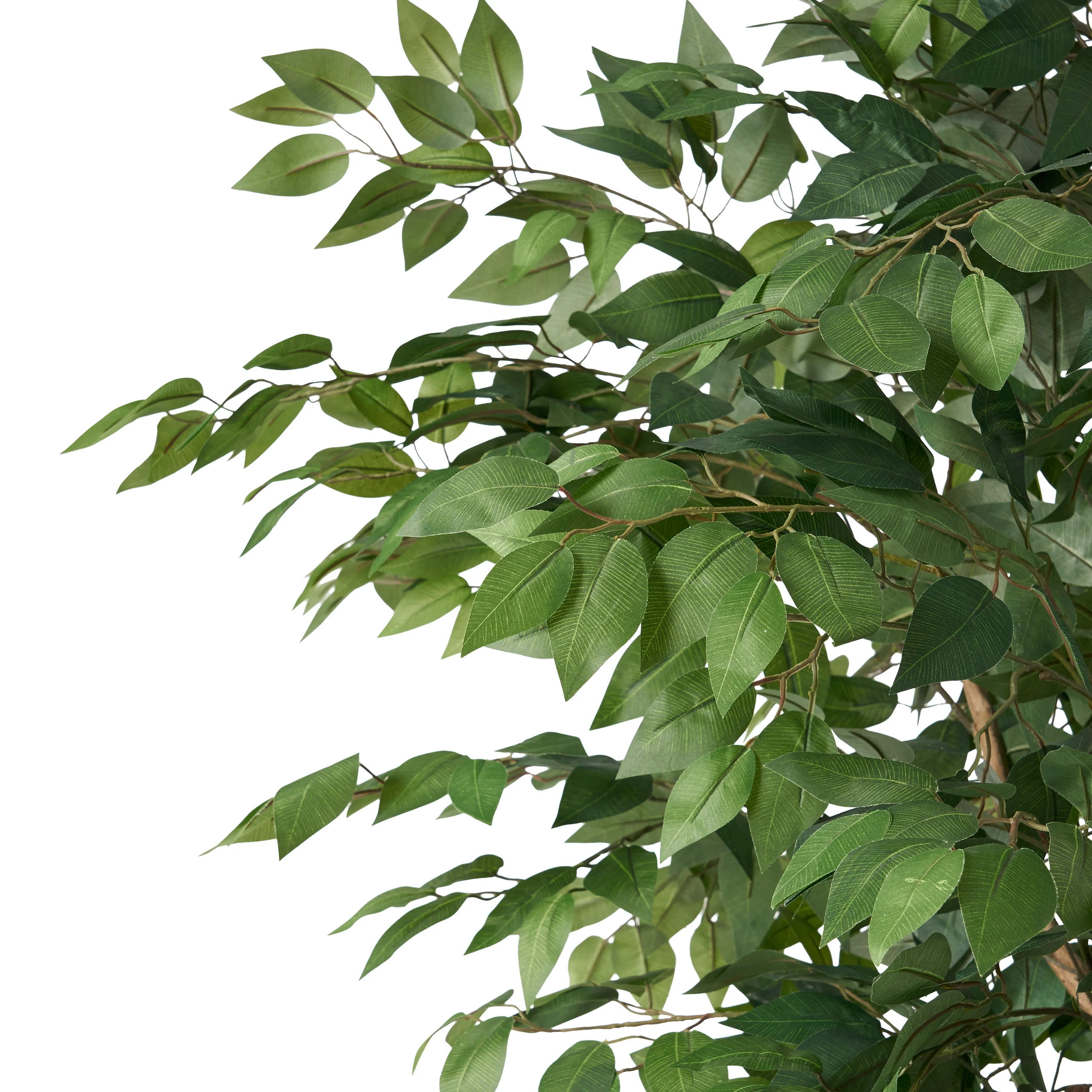 Wasco Artificial Ficus Tree - furnishings