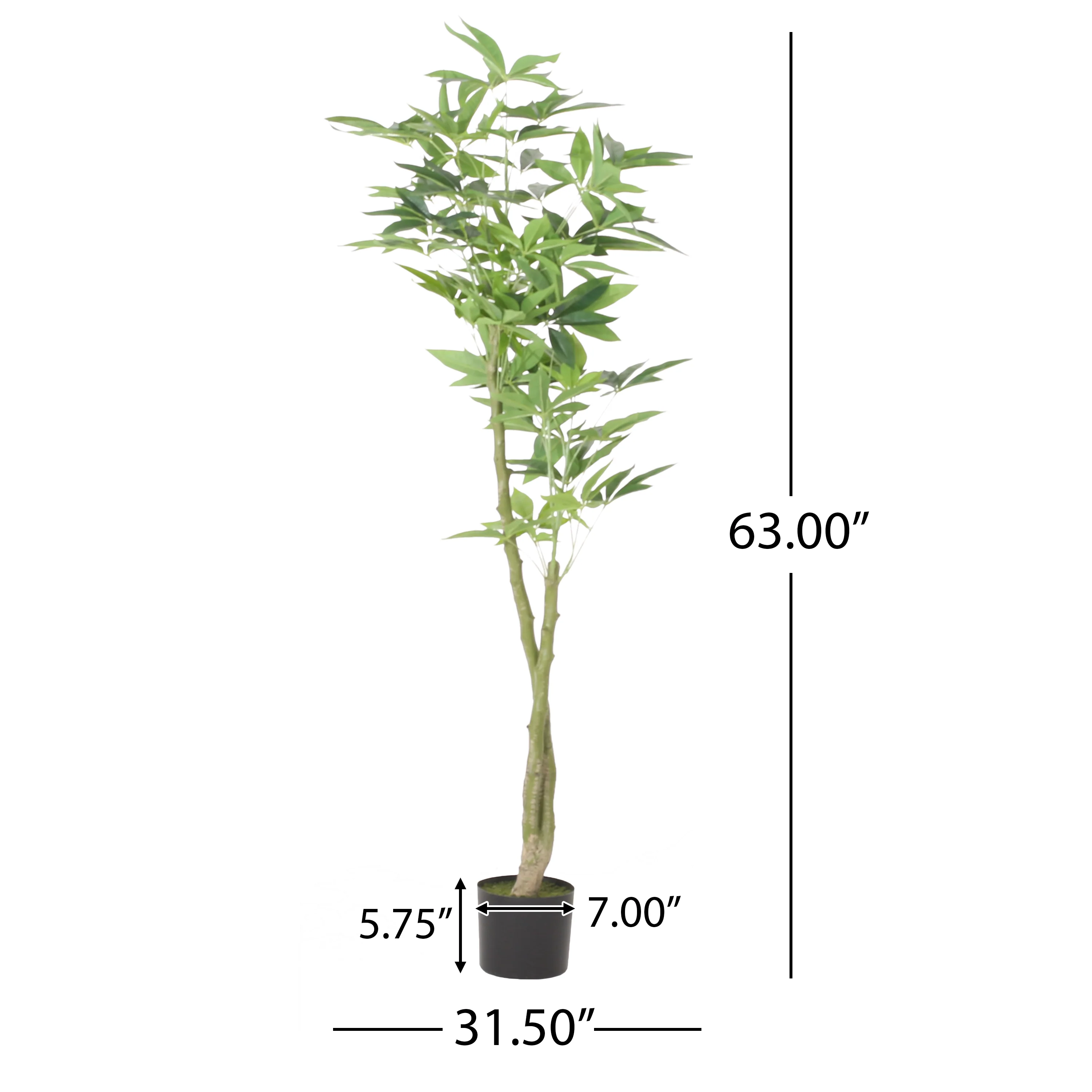 Coles Artificial Money Tree - furnishings