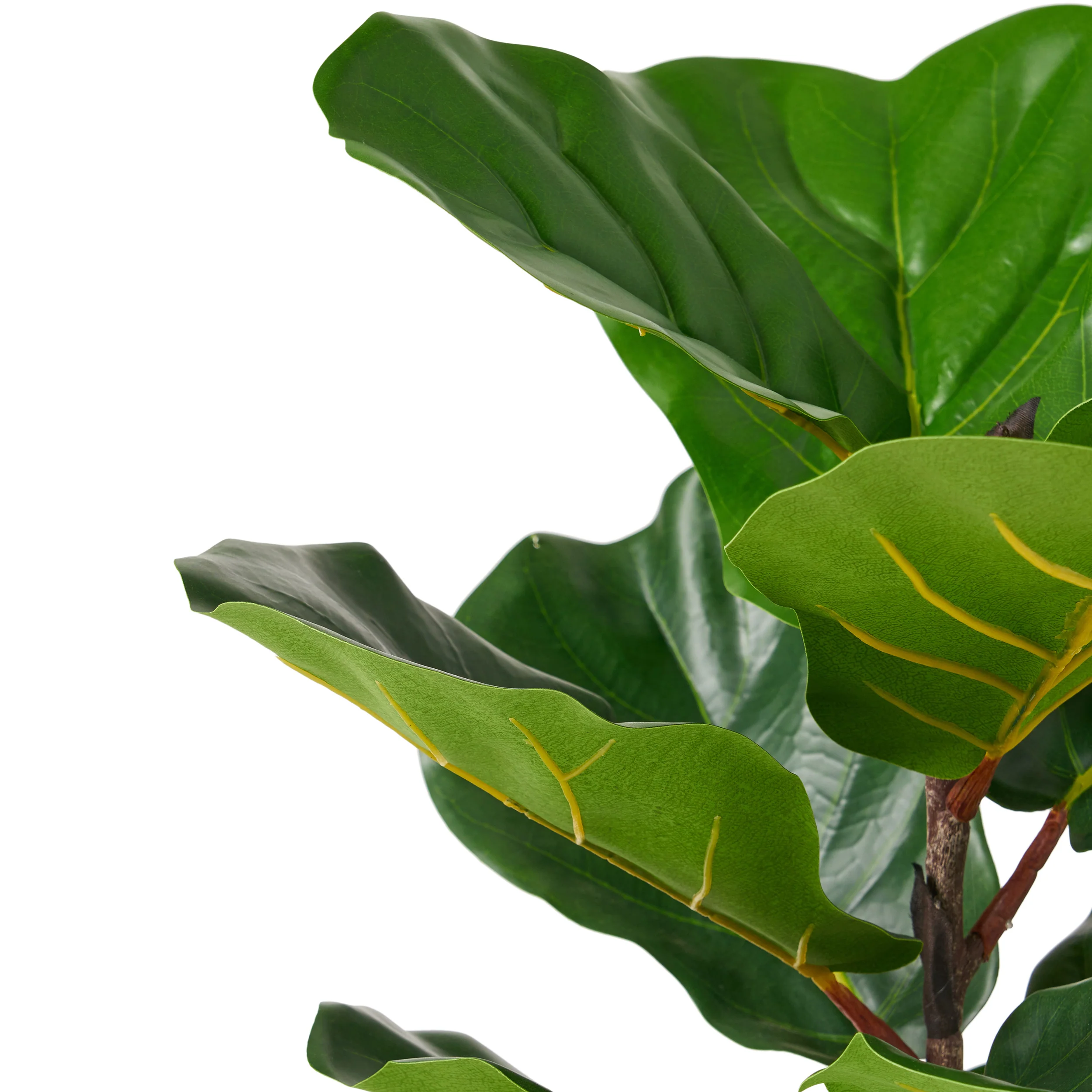 Stilwell Artificial Fiddle-Leaf Fig Tree - furnishings