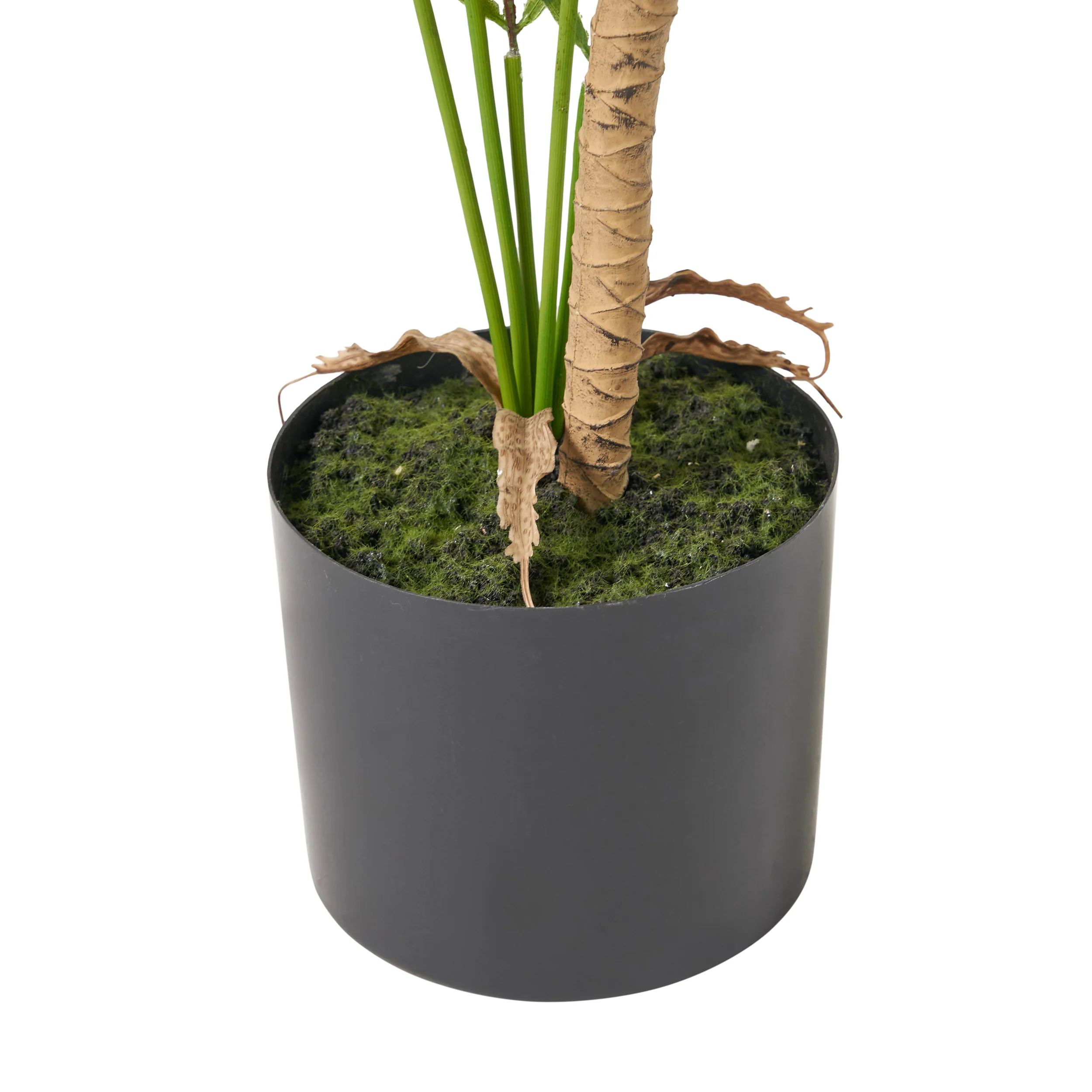 Abbeville Troup Artificial Palm Tree - furnishings