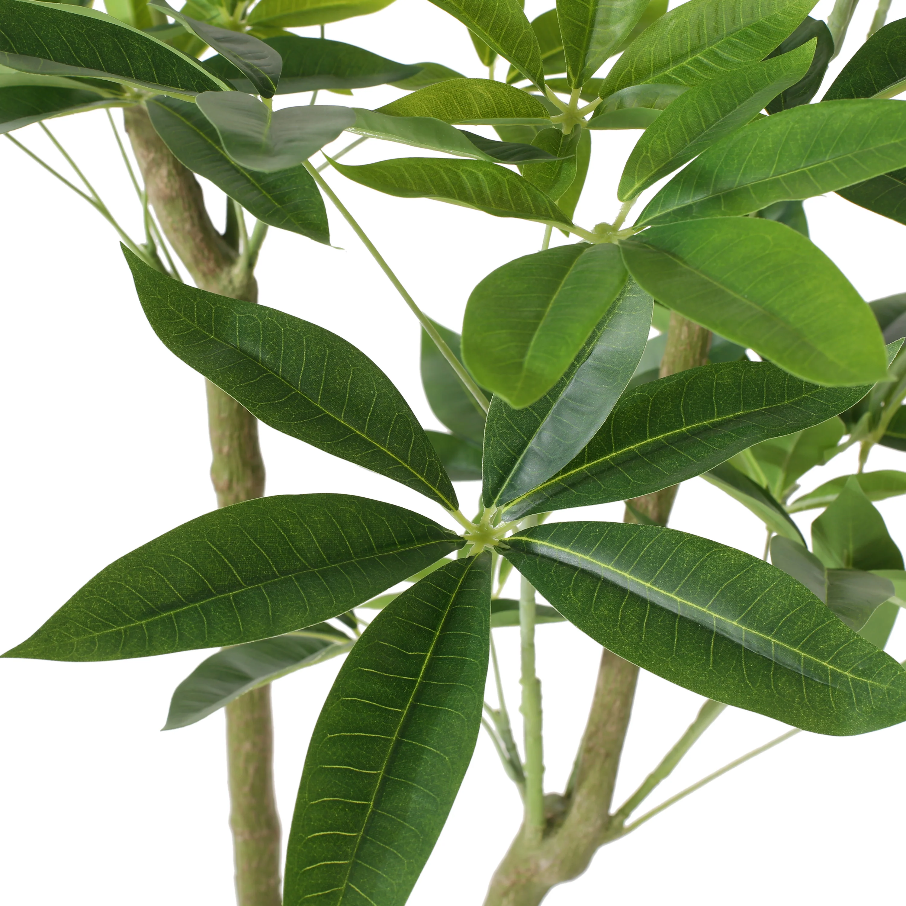 Coles Artificial Money Tree - furnishings