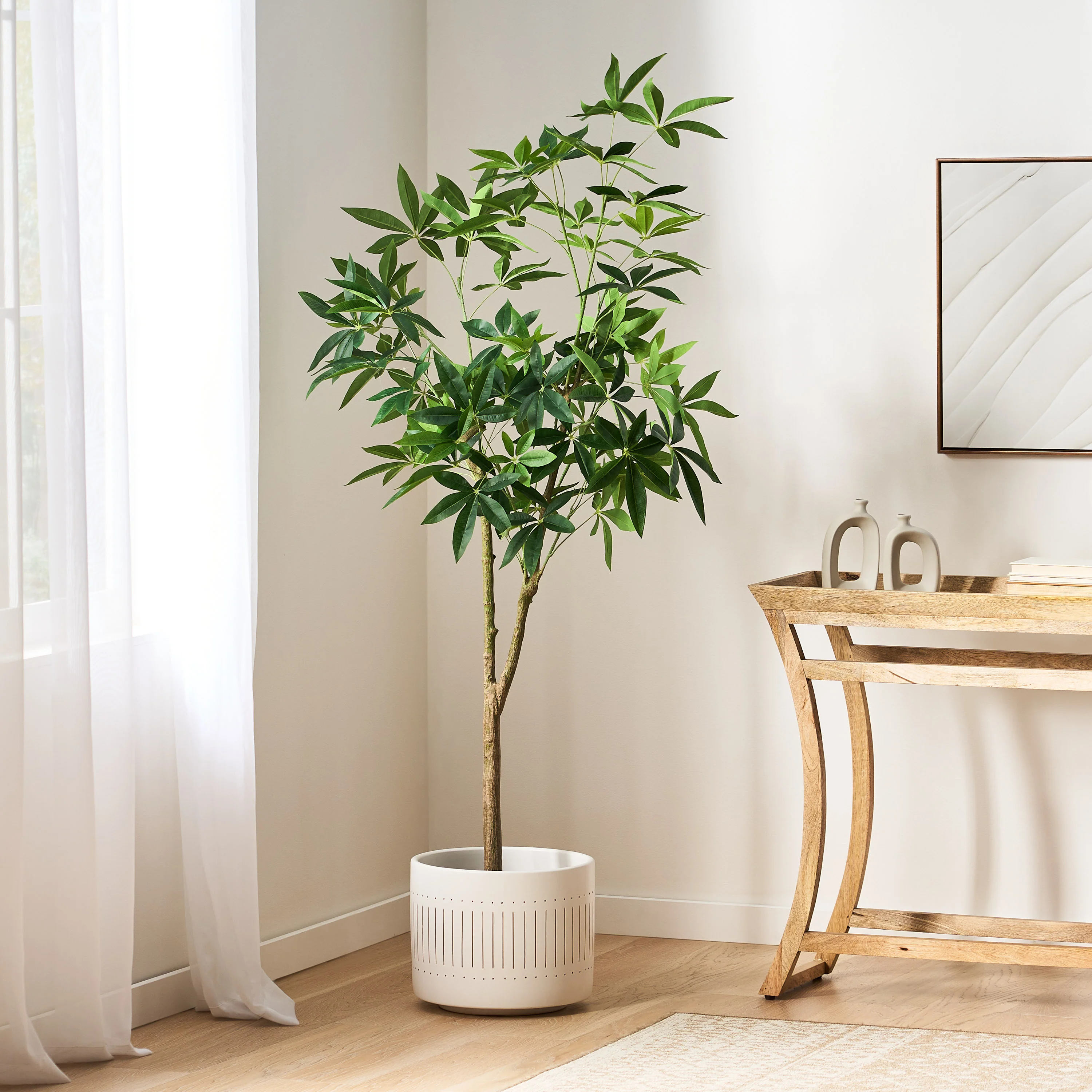 Coles Artificial Money Tree - furnishings