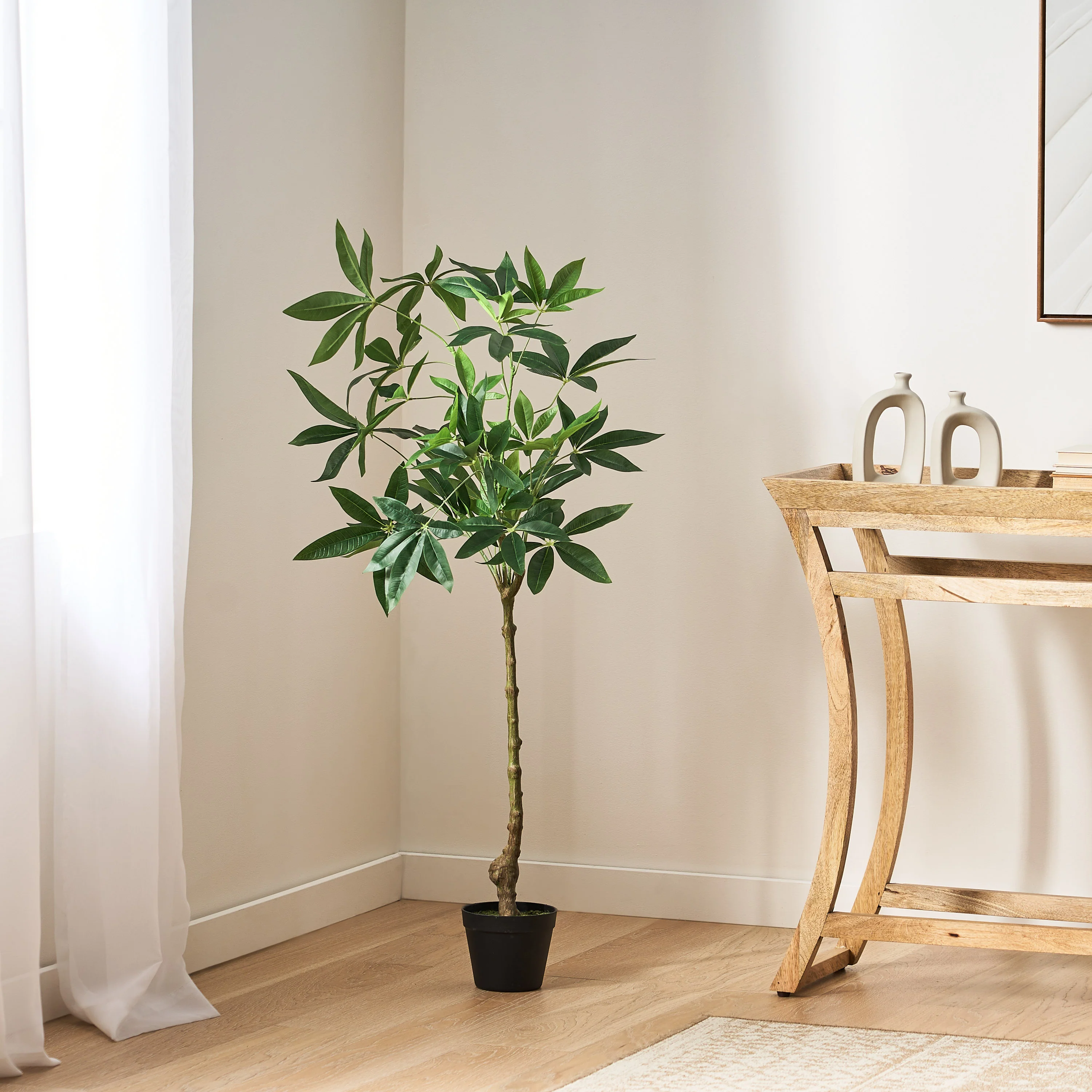 Coles Artificial Money Tree - furnishings