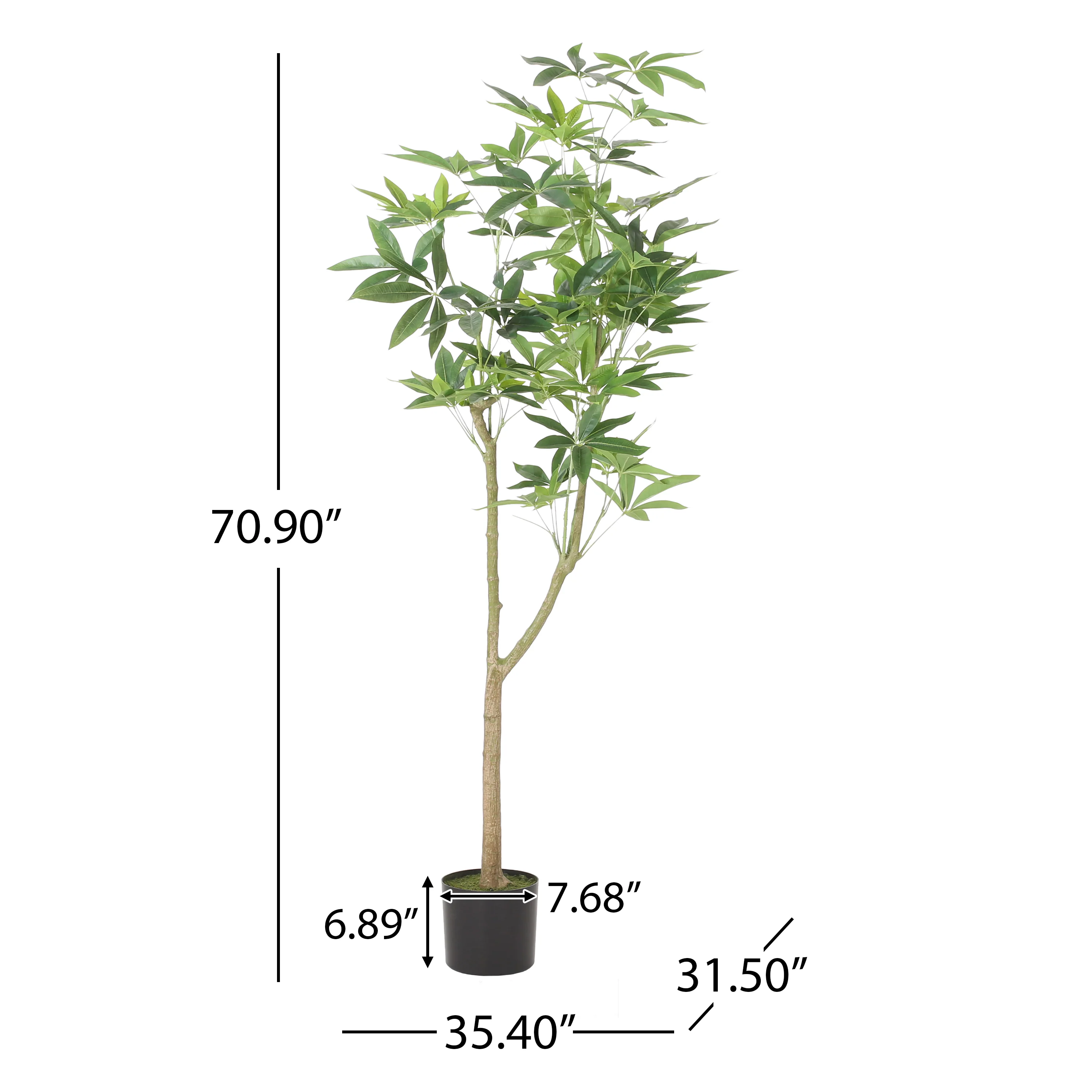 Coles Artificial Money Tree - furnishings