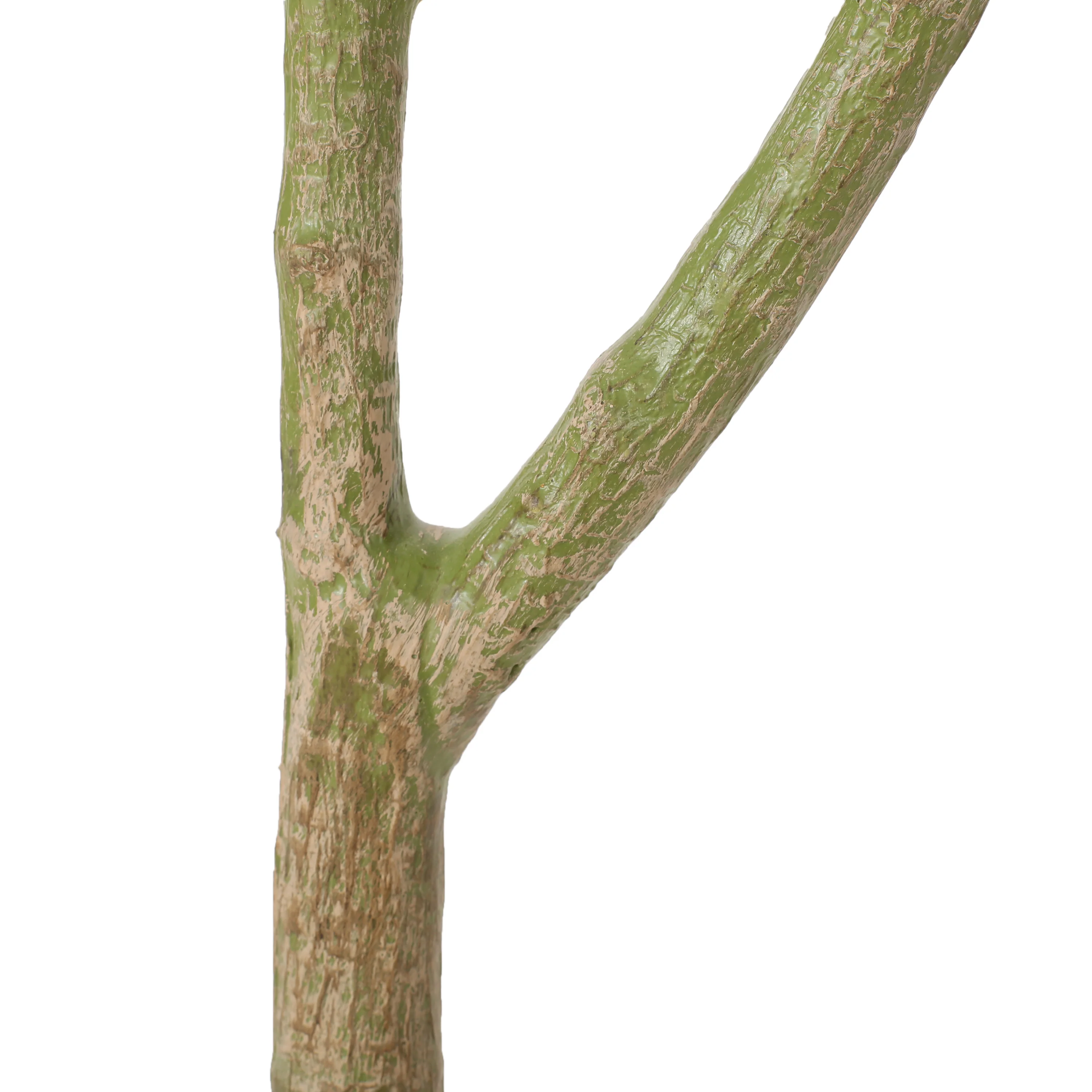 Coles Artificial Money Tree - furnishings
