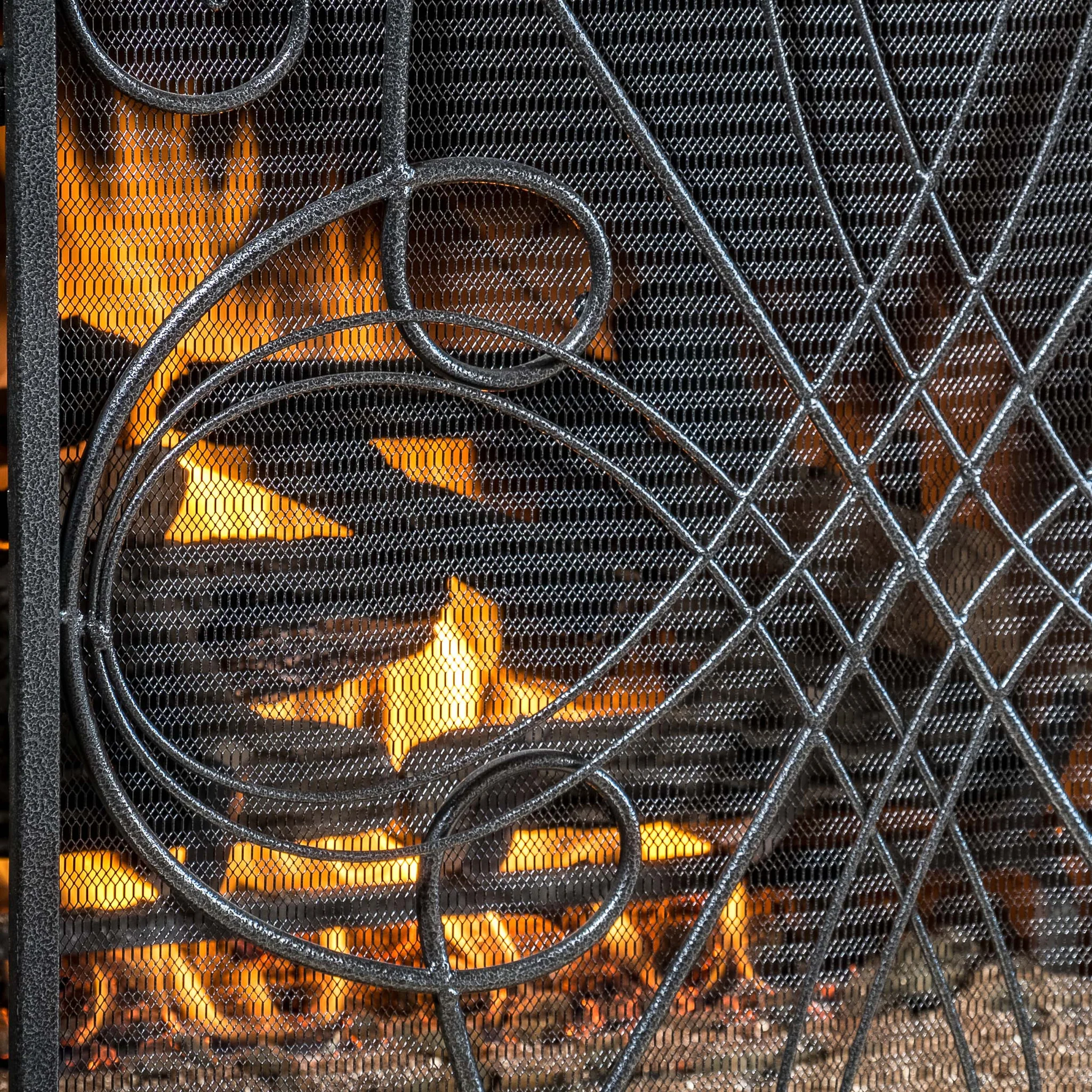 Rosalinda Black Silver Finish Floral Iron Fireplace Screen - furnishings