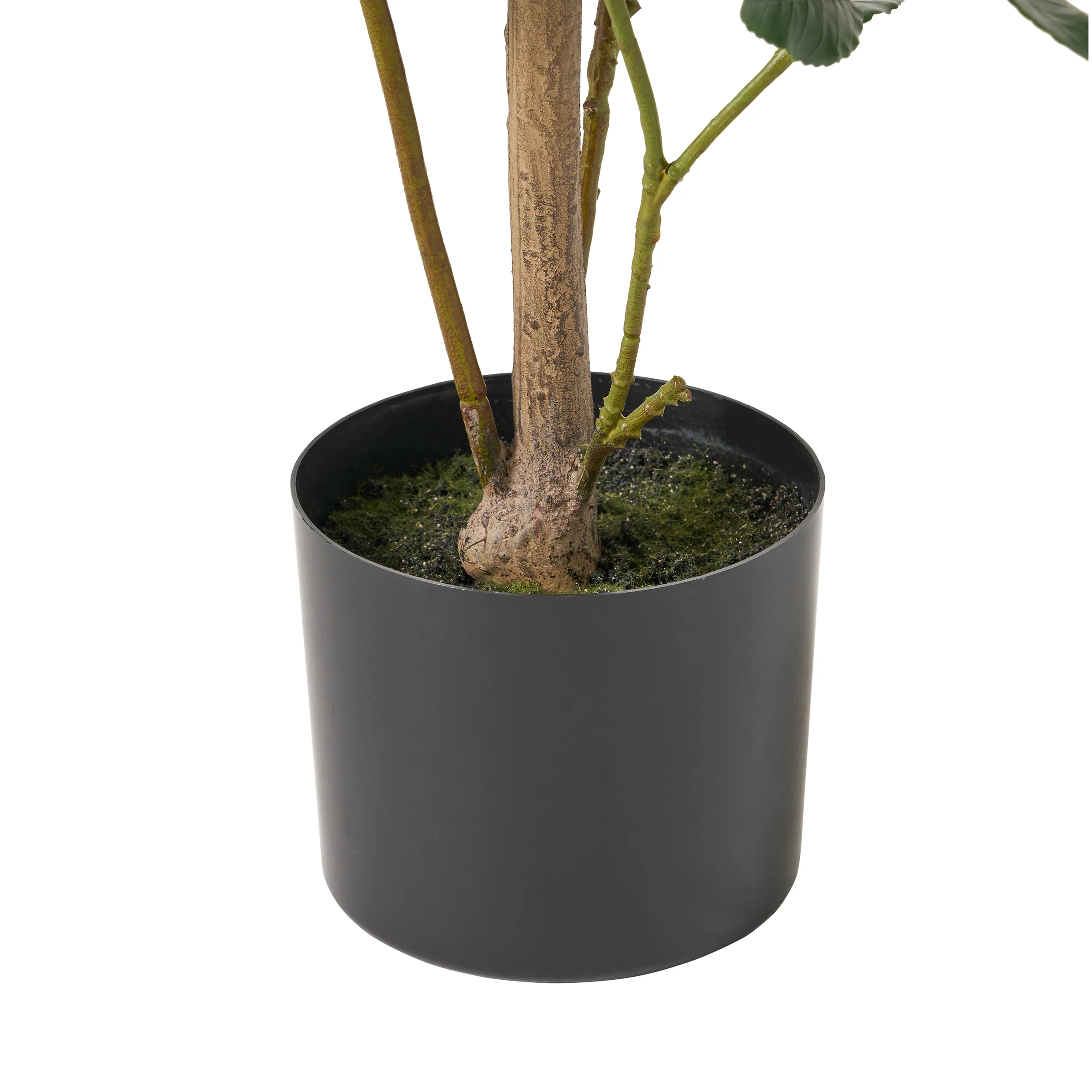 Forgan Artificial Laurel Tree - furnishings