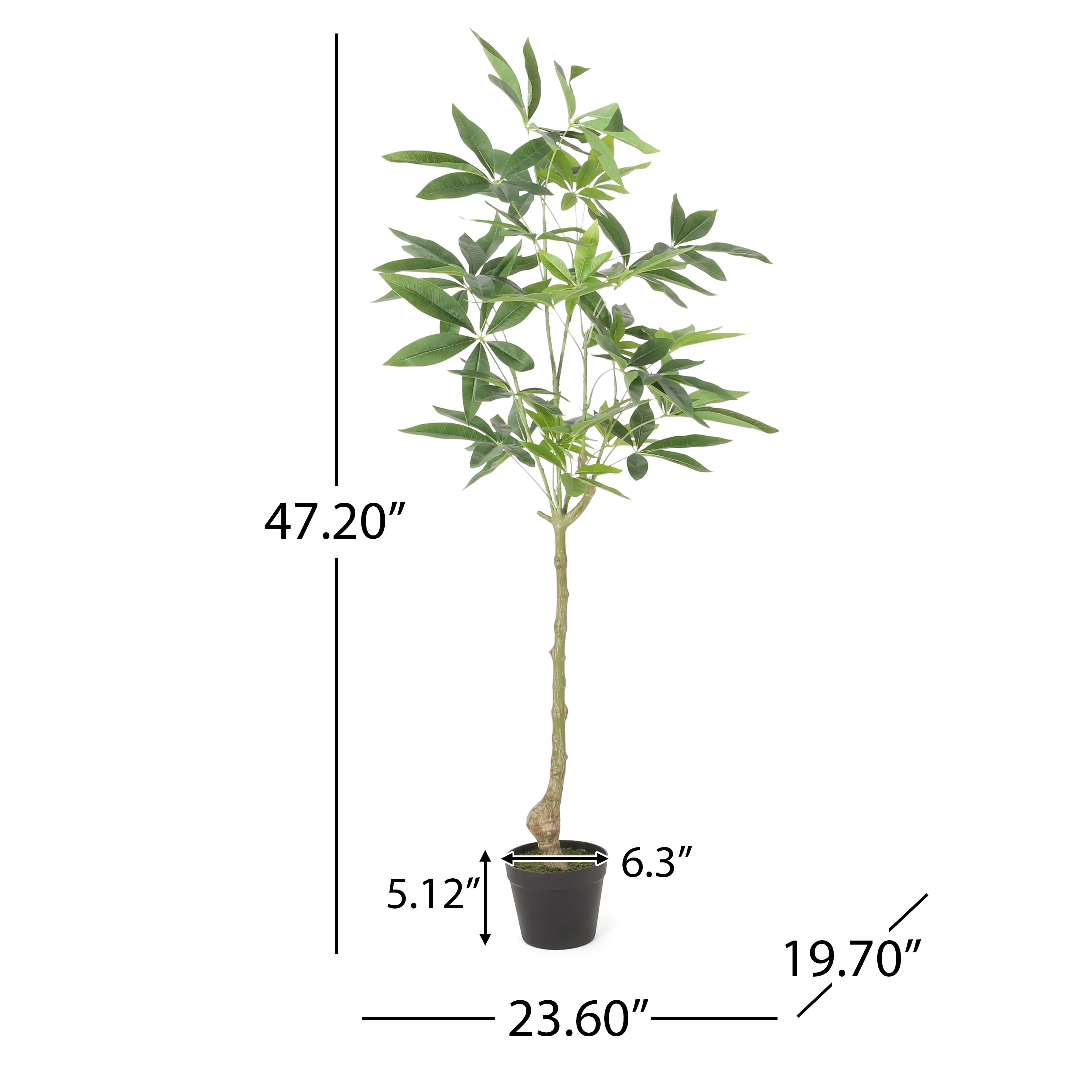 Coles Artificial Money Tree - furnishings