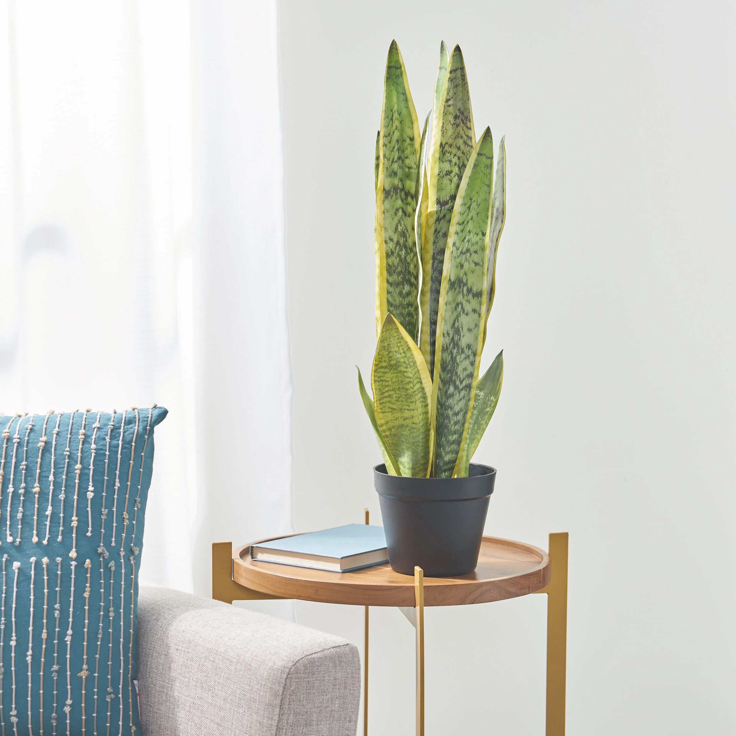 McClure Artificial Tabletop Snake Plant - furnishings
