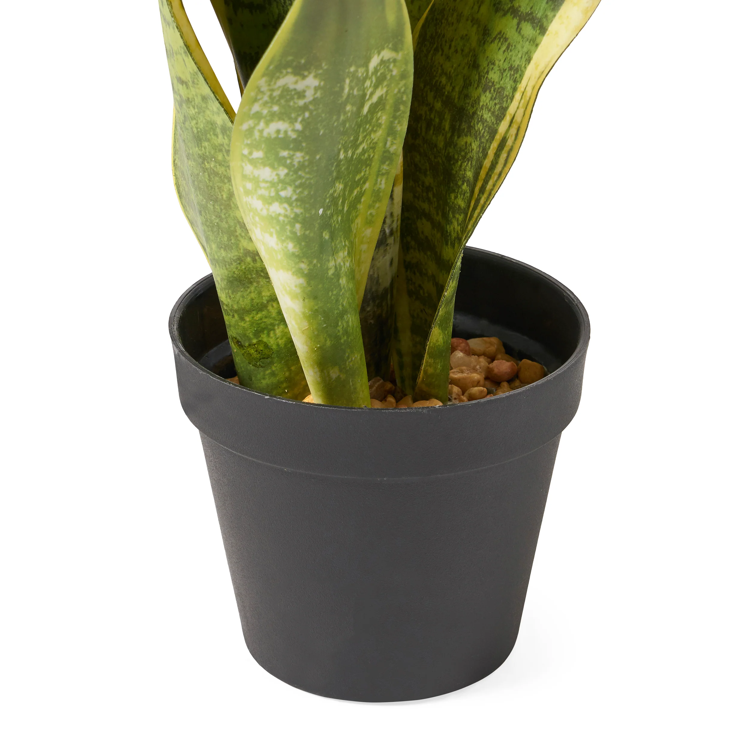 McClure Artificial Tabletop Snake Plant - furnishings