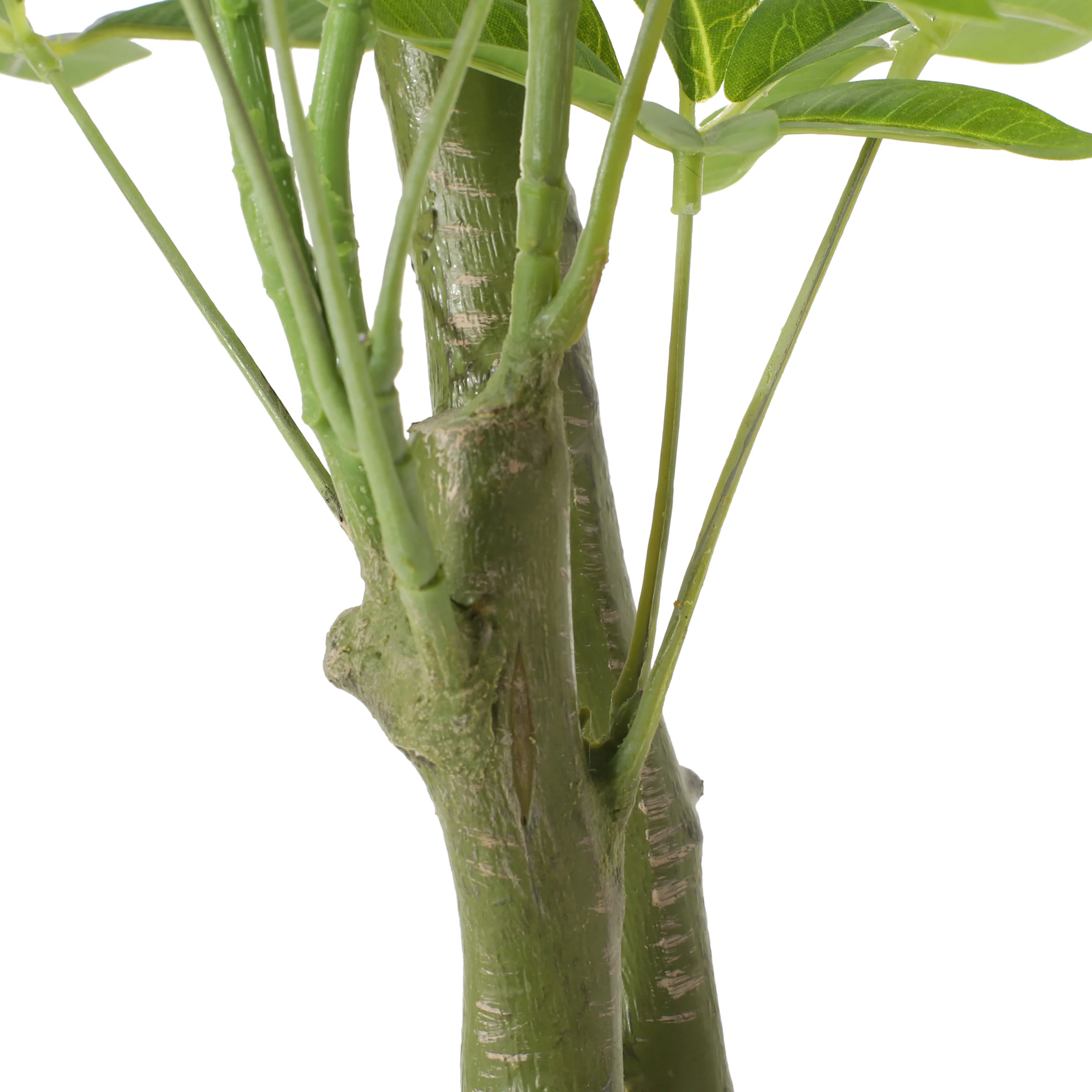 Coles Artificial Money Tree - furnishings