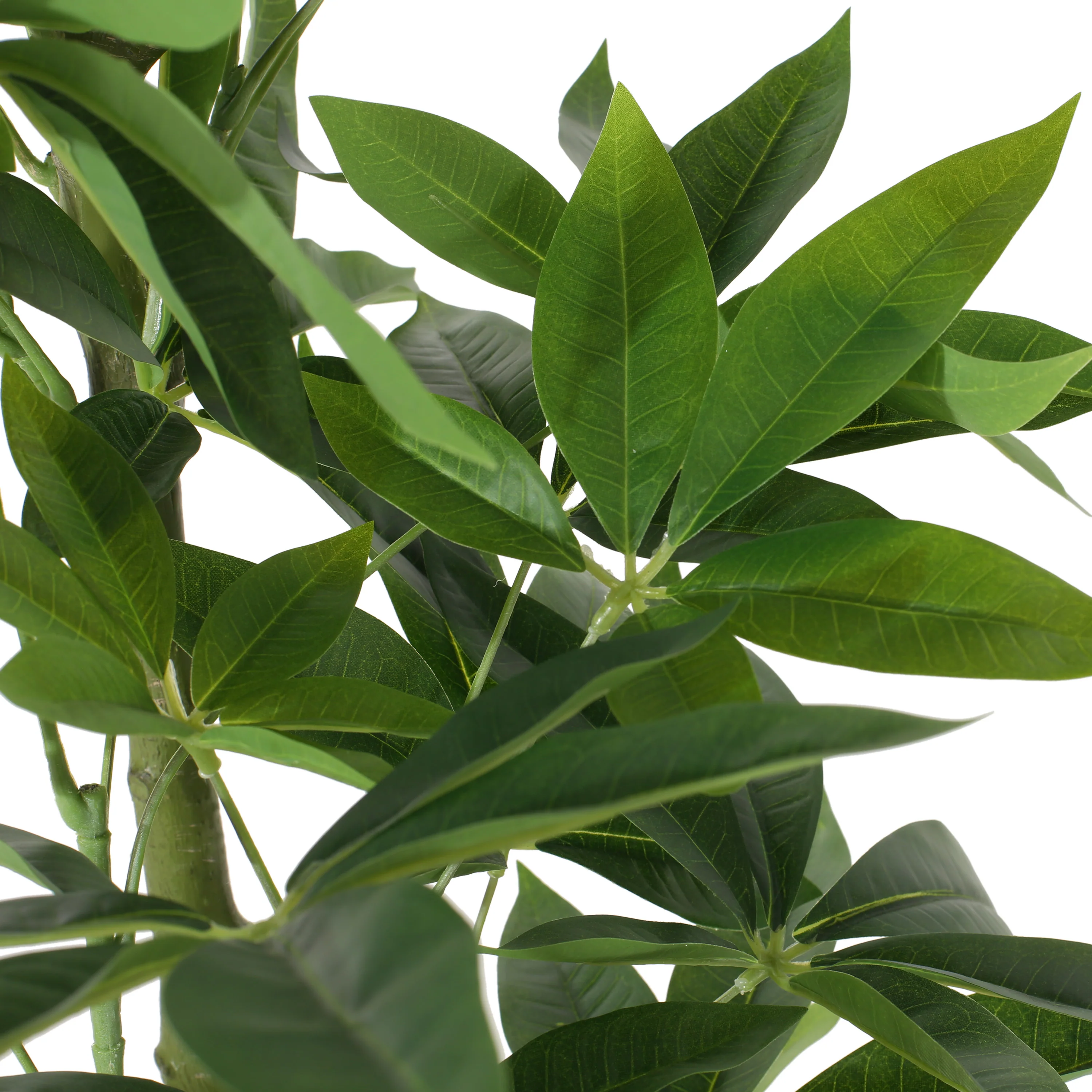 Coles Artificial Money Tree - furnishings