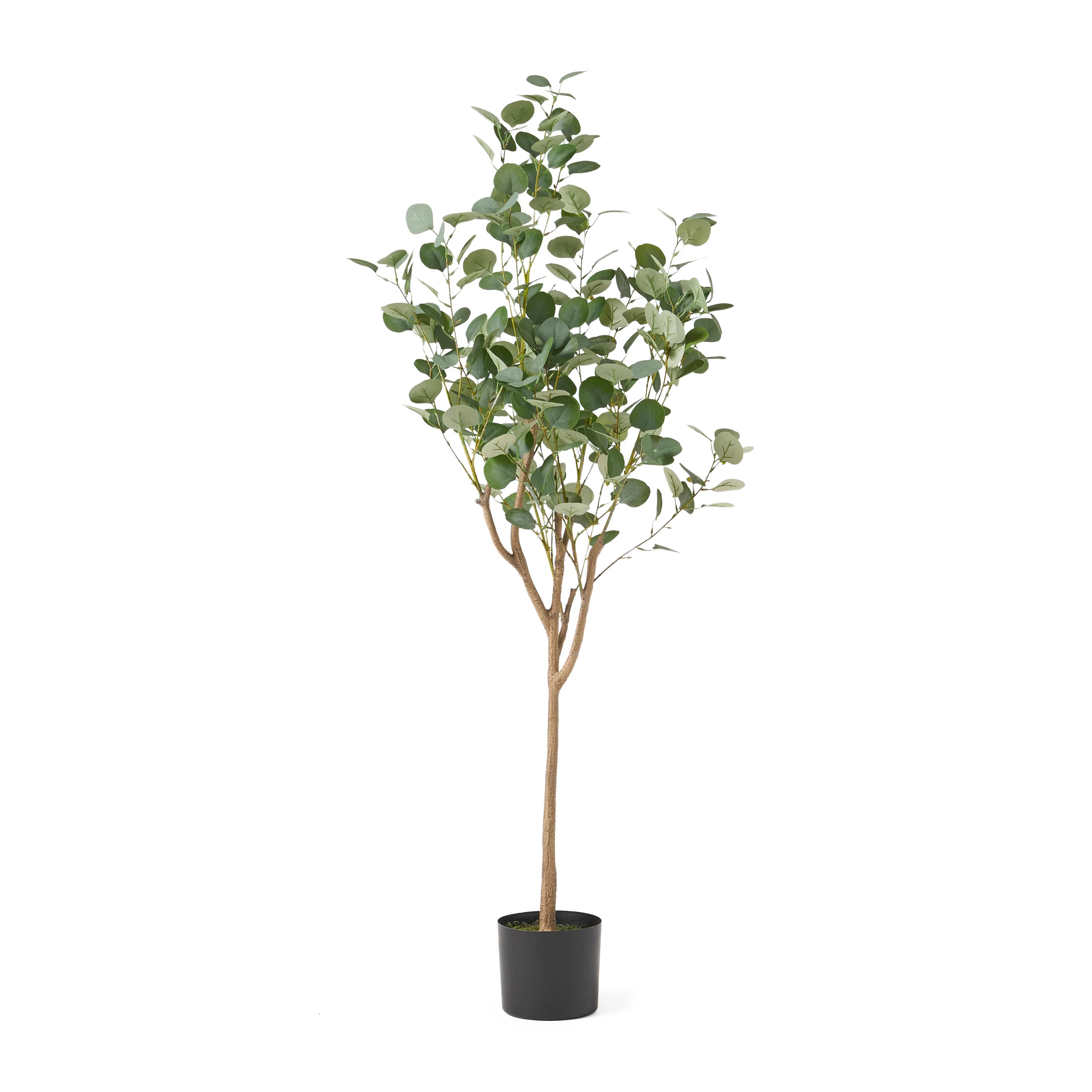 Davos Artificial Eucalyptus Tree - furnishings