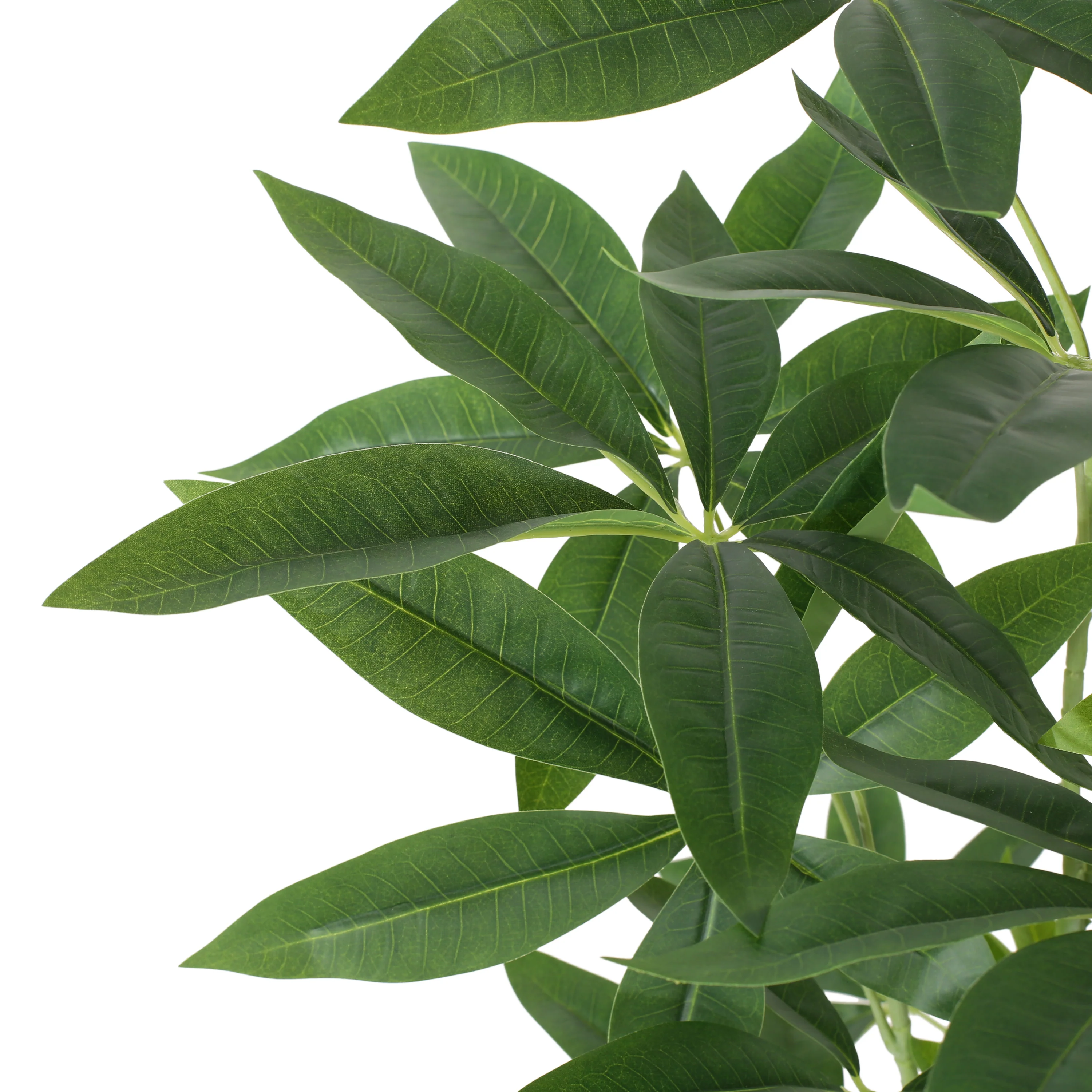 Coles Artificial Money Tree - furnishings