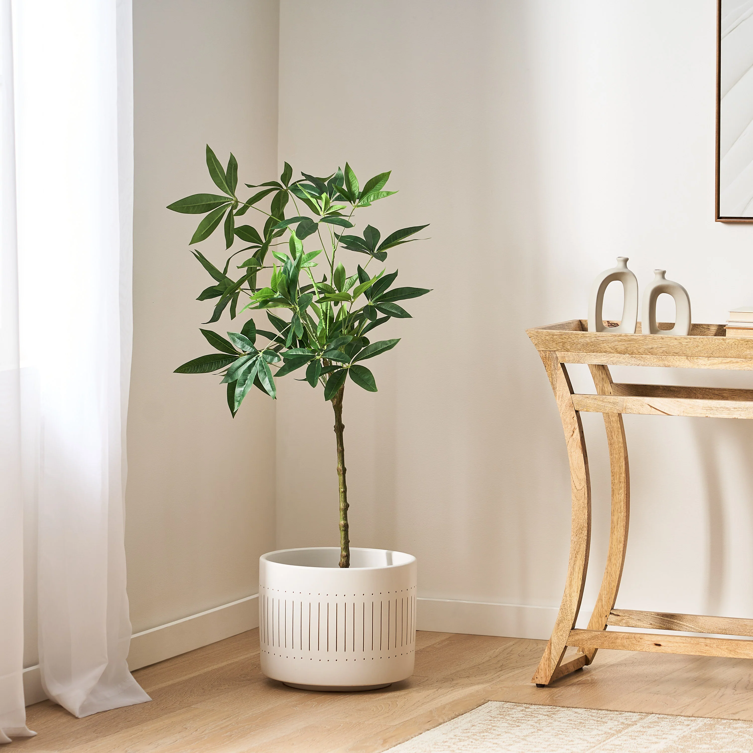 Coles Artificial Money Tree - furnishings