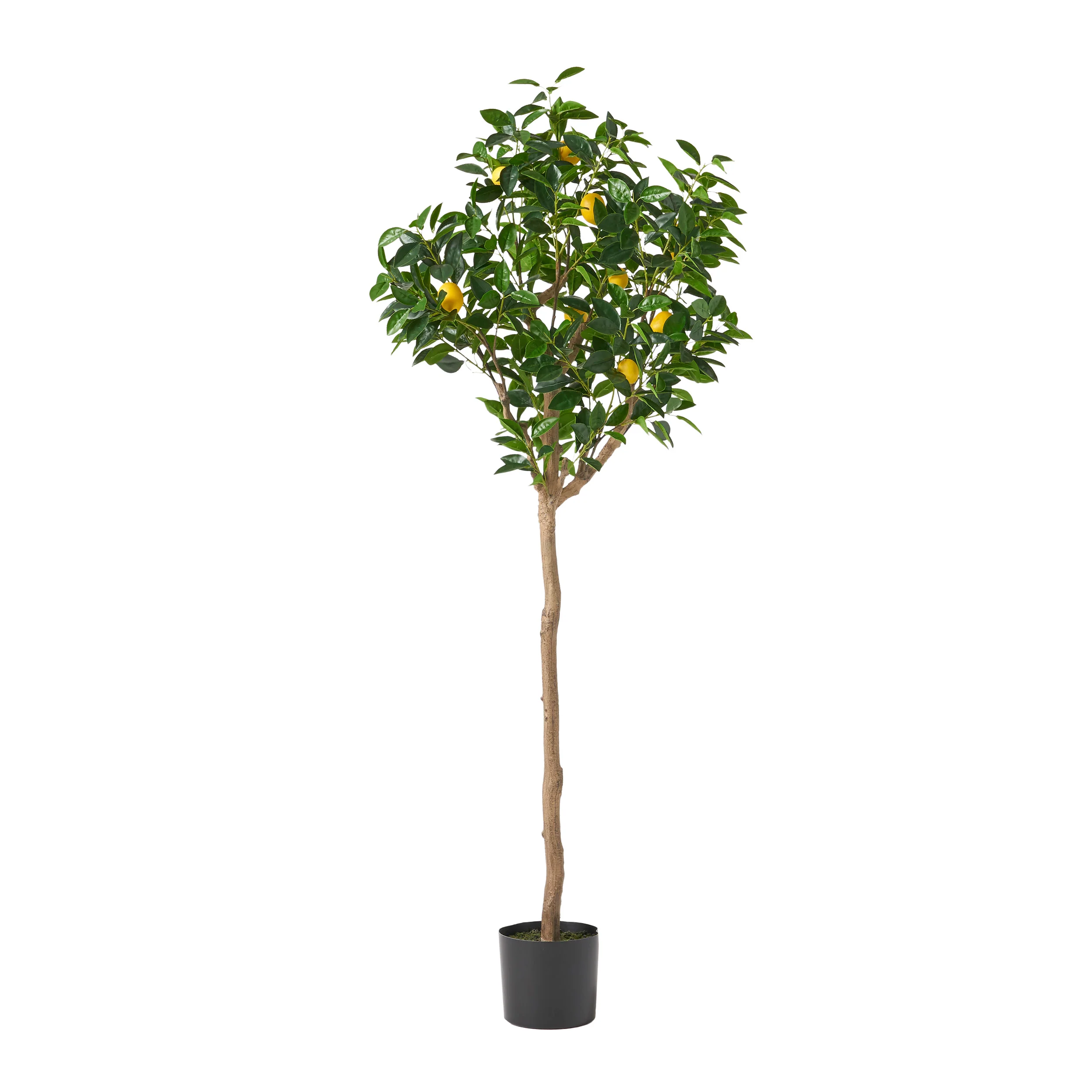 Rattler Artificial Lemon Tree - furnishings