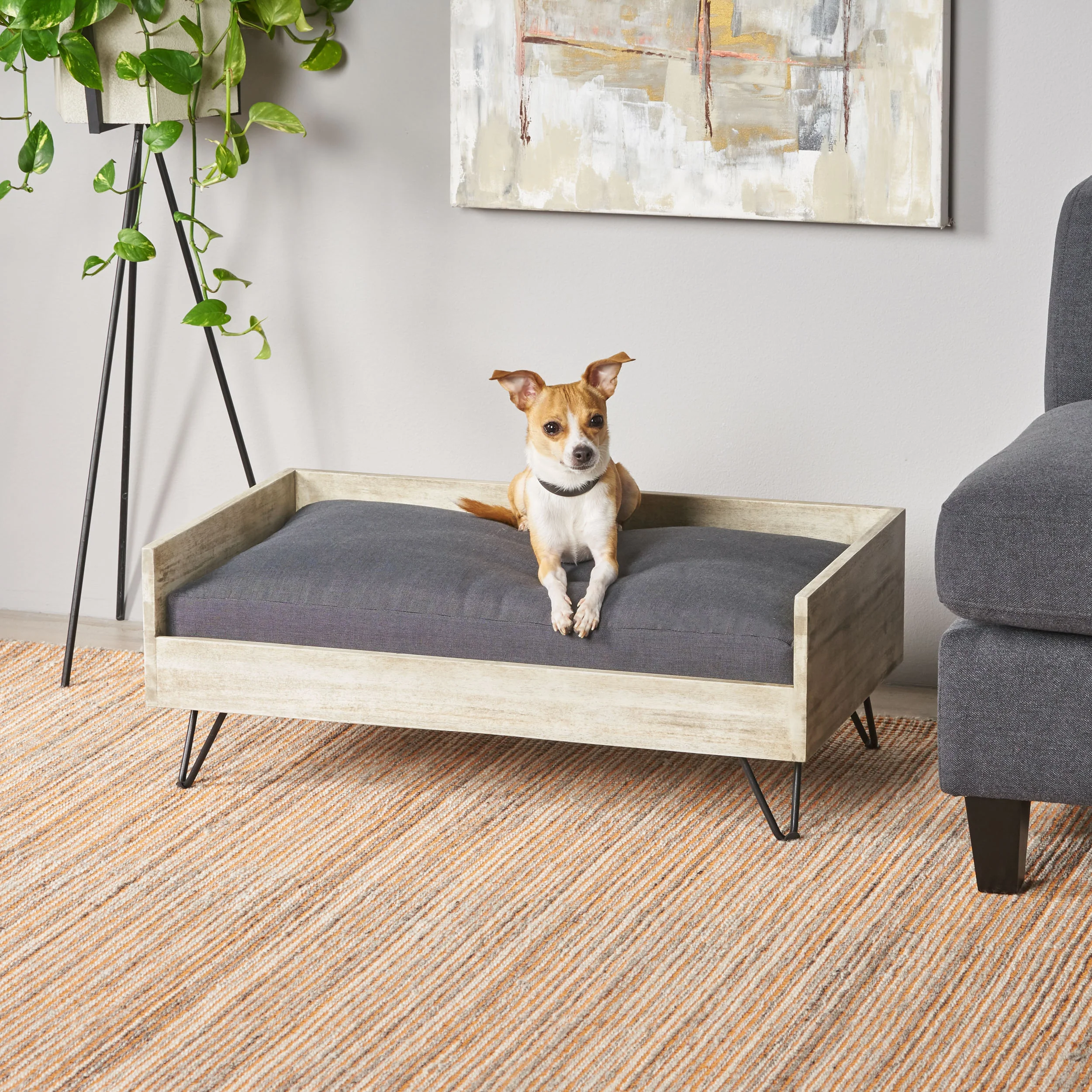 Ophelia Mid-Century Modern Cushioned Wood Frame Dog Bed - furnishings