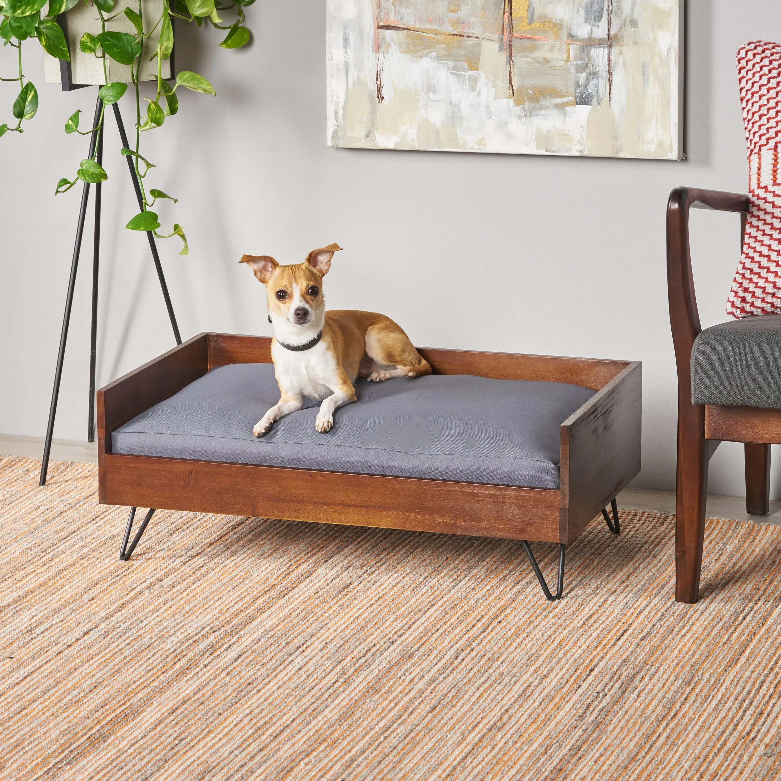 Ophelia Mid-Century Modern Cushioned Wood Frame Dog Bed - furnishings