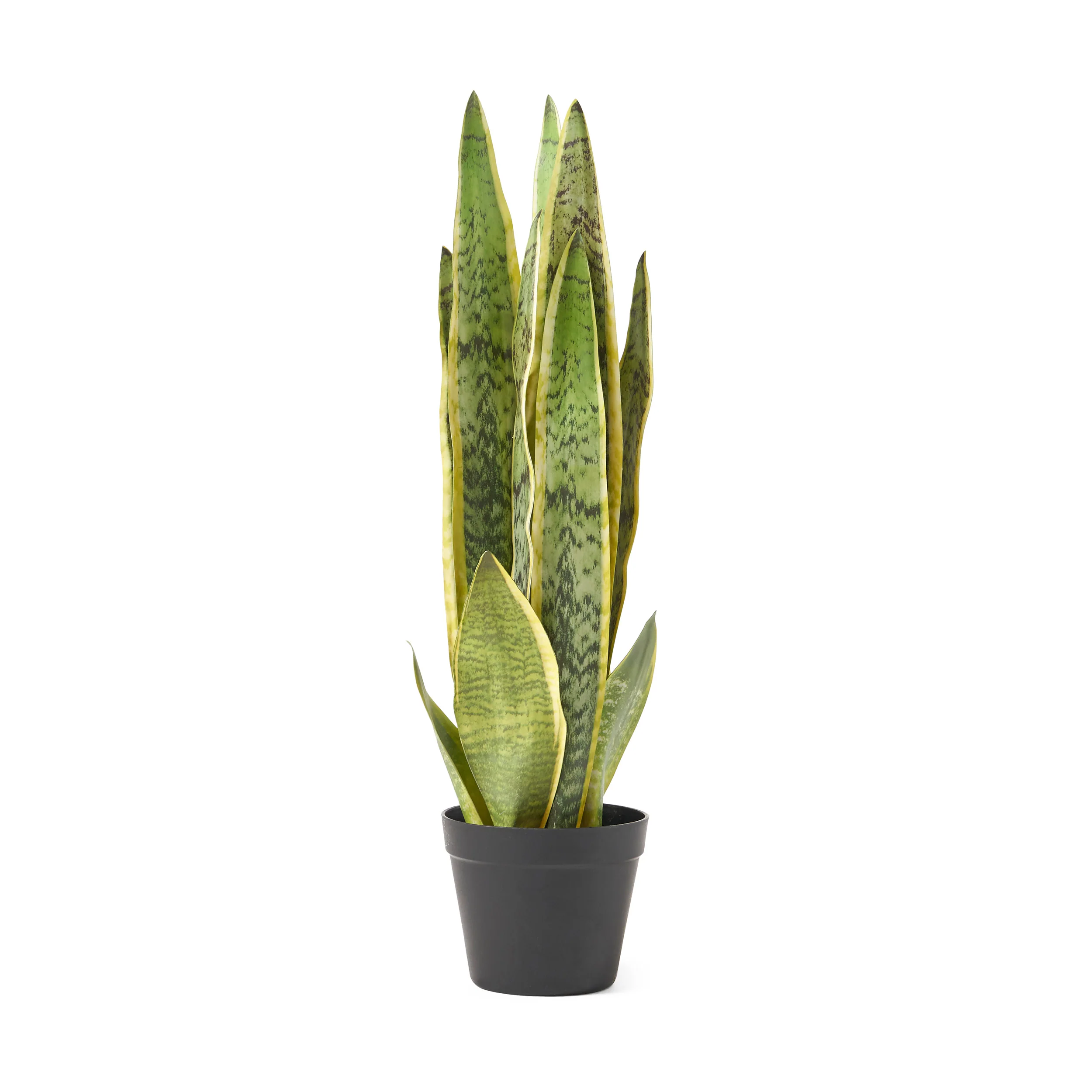 McClure Artificial Tabletop Snake Plant - furnishings