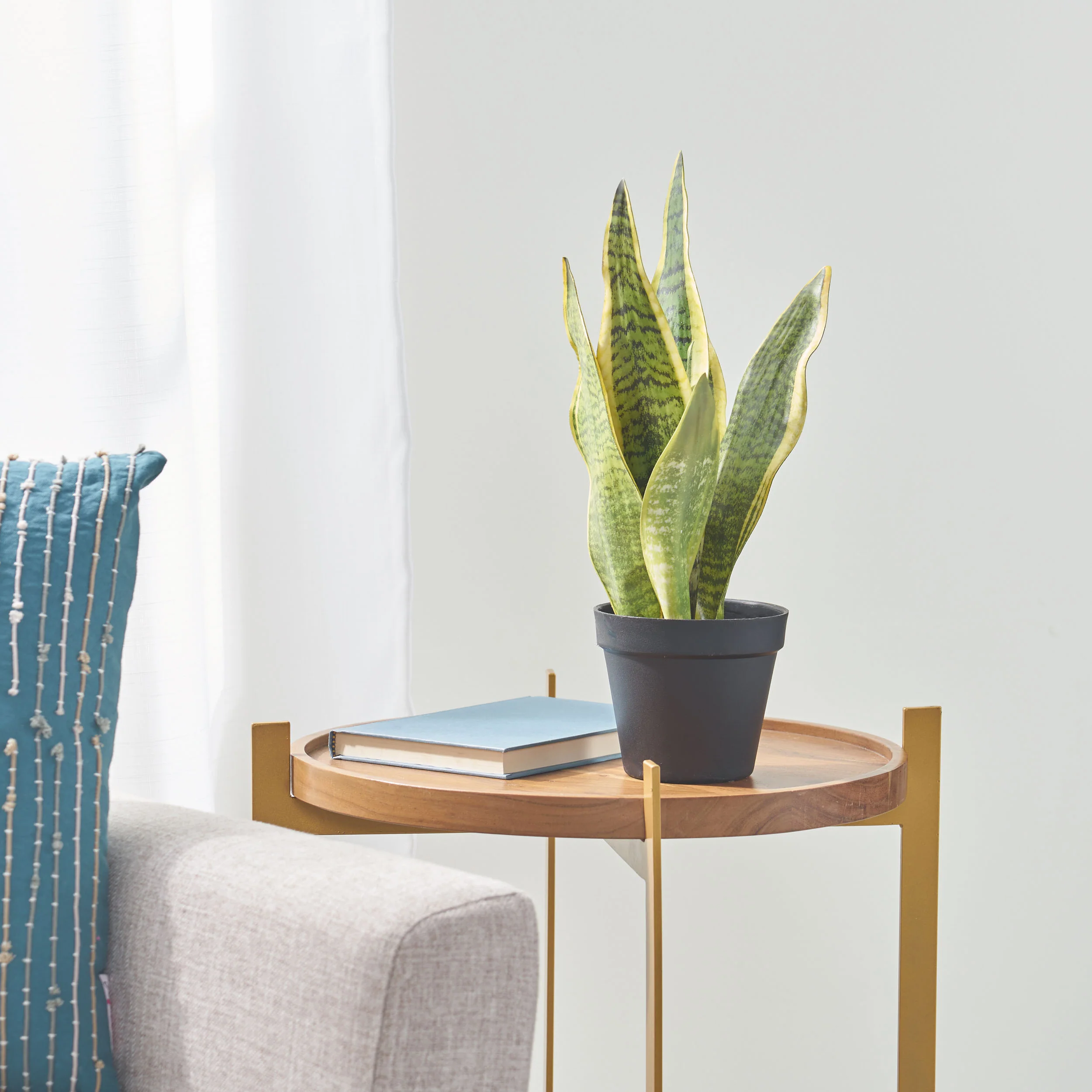 McClure Artificial Tabletop Snake Plant - furnishings