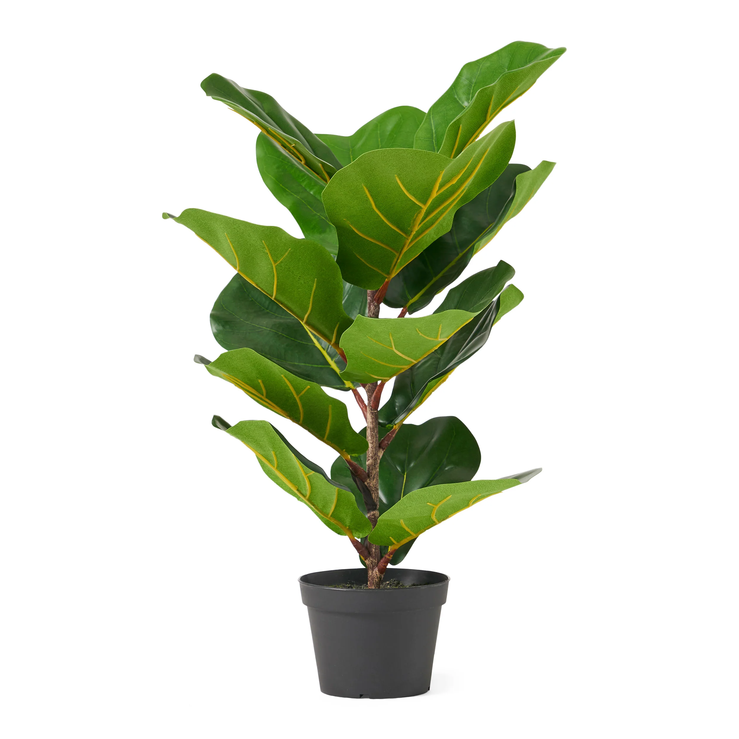 Stilwell Artificial Fiddle-Leaf Fig Tree - furnishings
