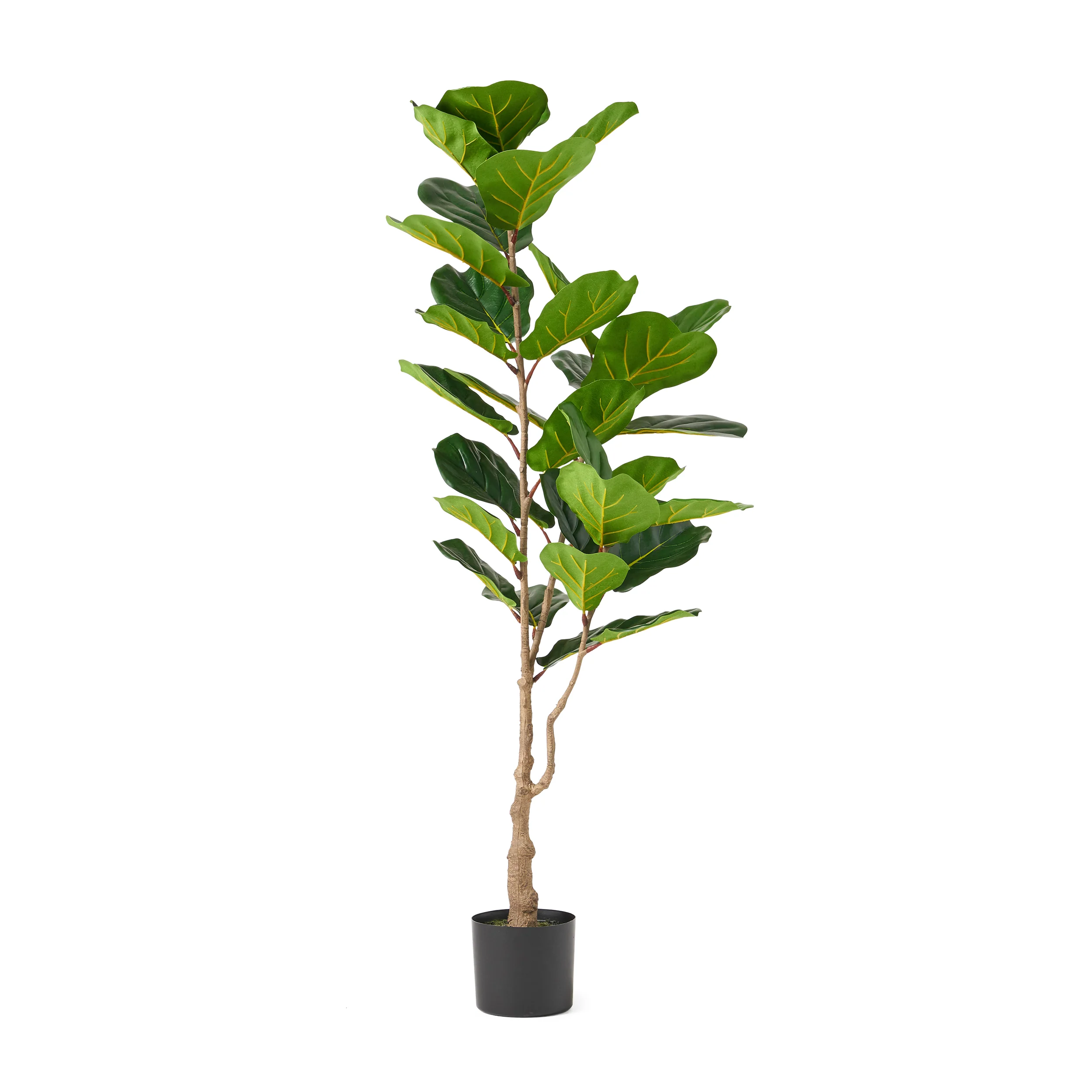 Stilwell Artificial Fiddle-Leaf Fig Tree - furnishings