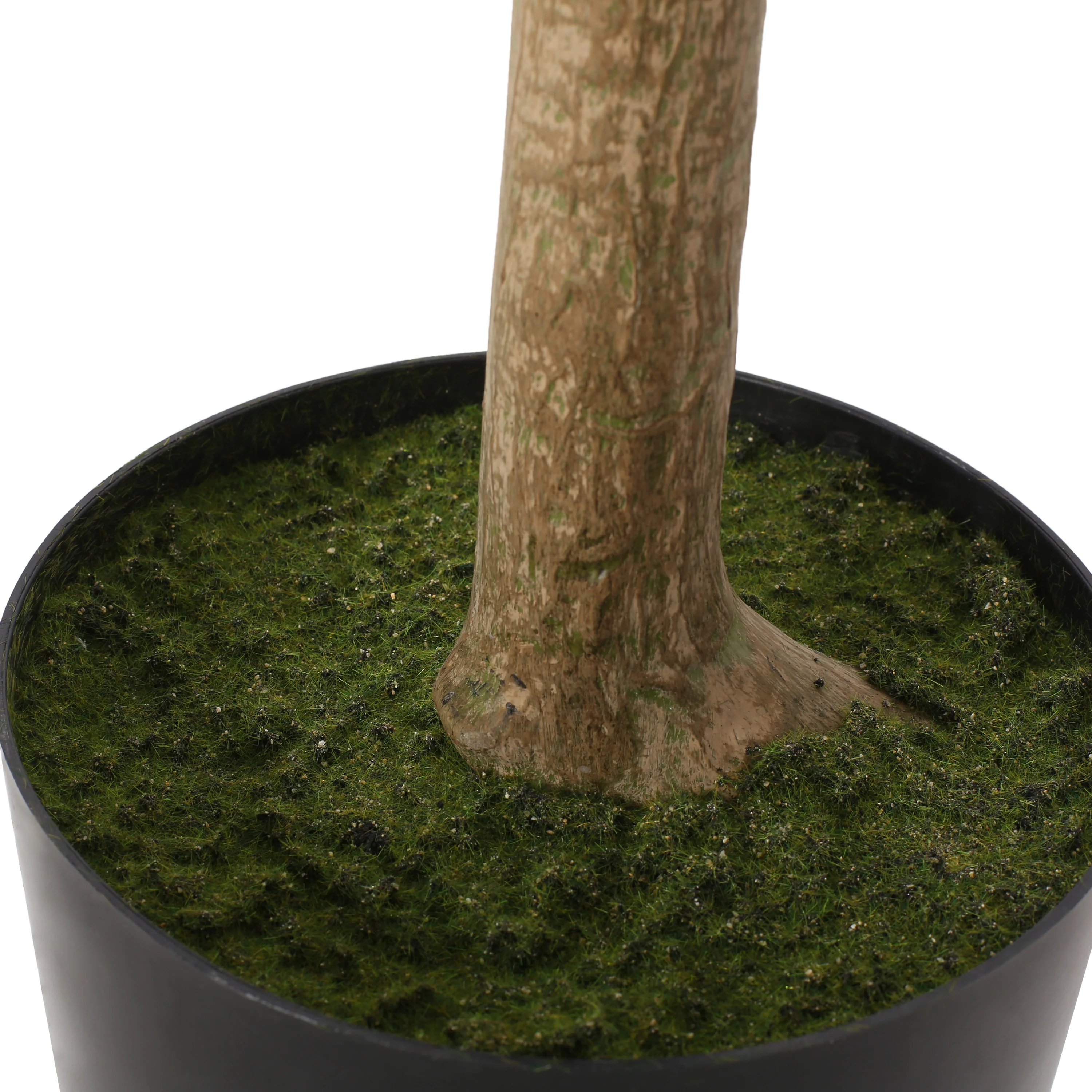 Coles Artificial Money Tree - furnishings