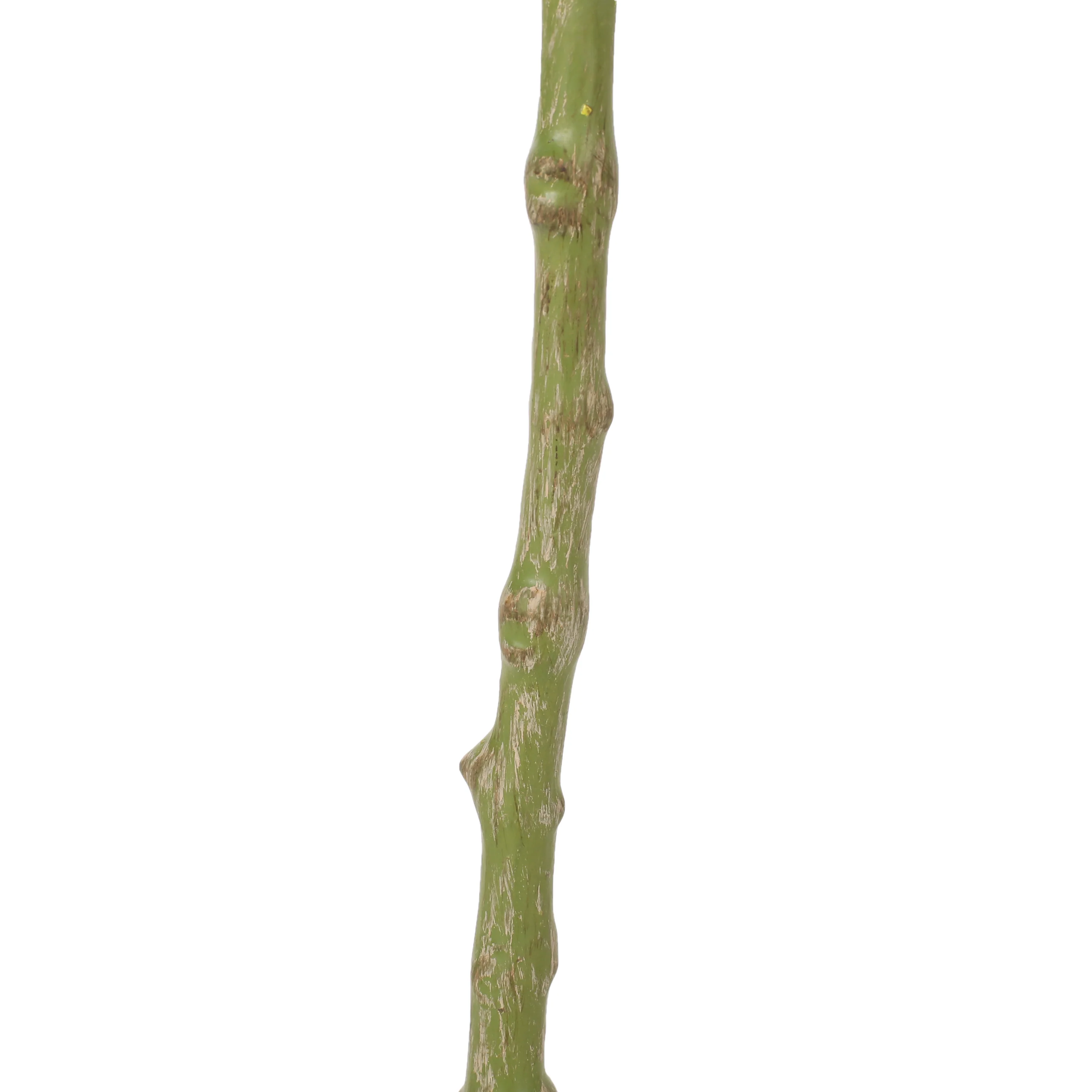Coles Artificial Money Tree - furnishings