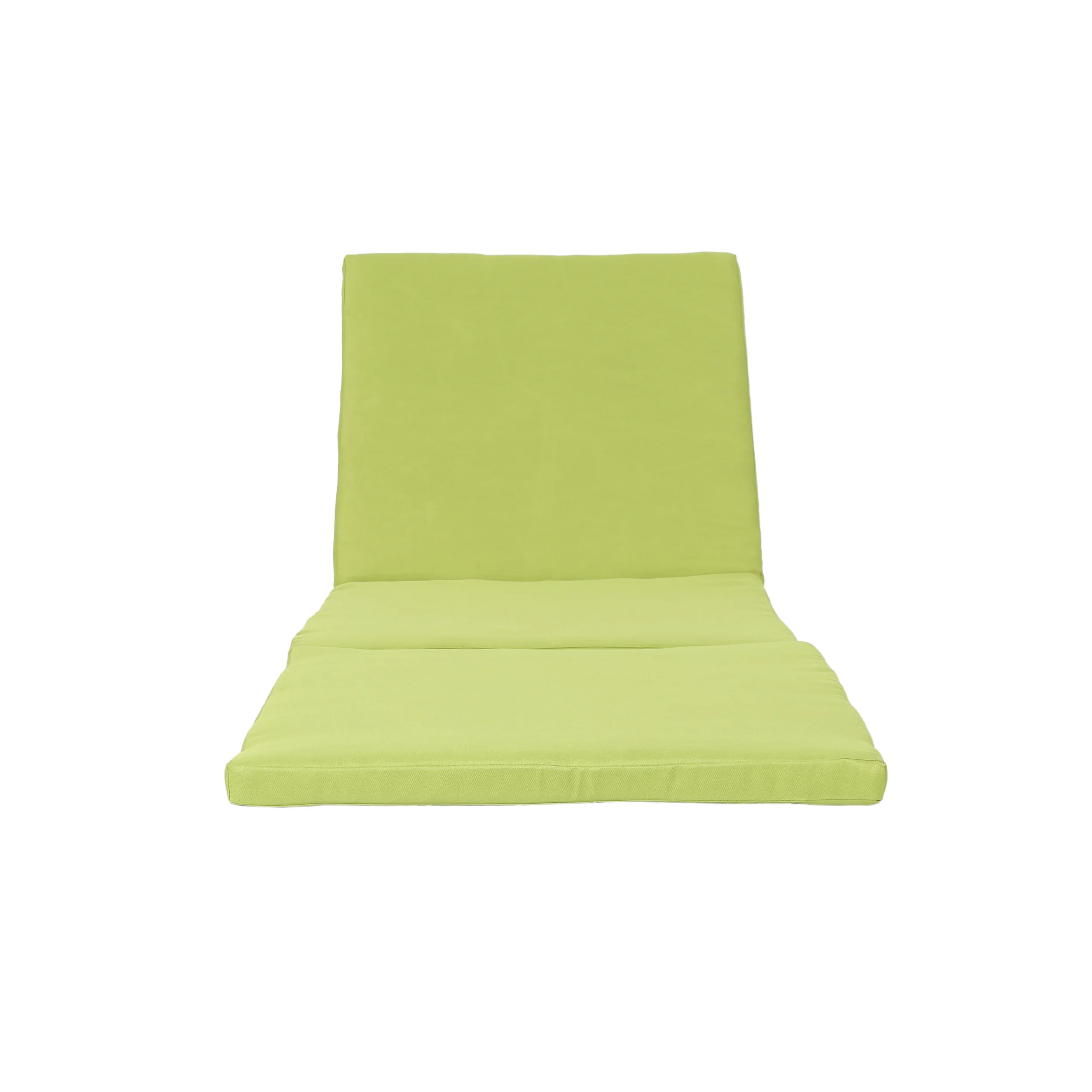 Laraine Outdoor Water Resistant Chaise Lounge Cushion - furnishings