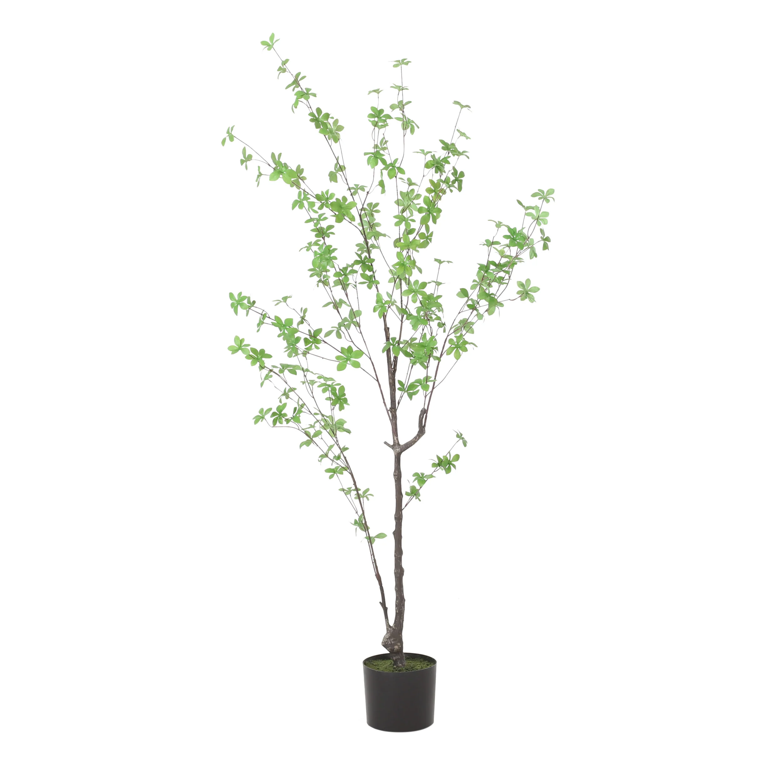 Monadnock Artificial Enkianthus Tree - furnishings