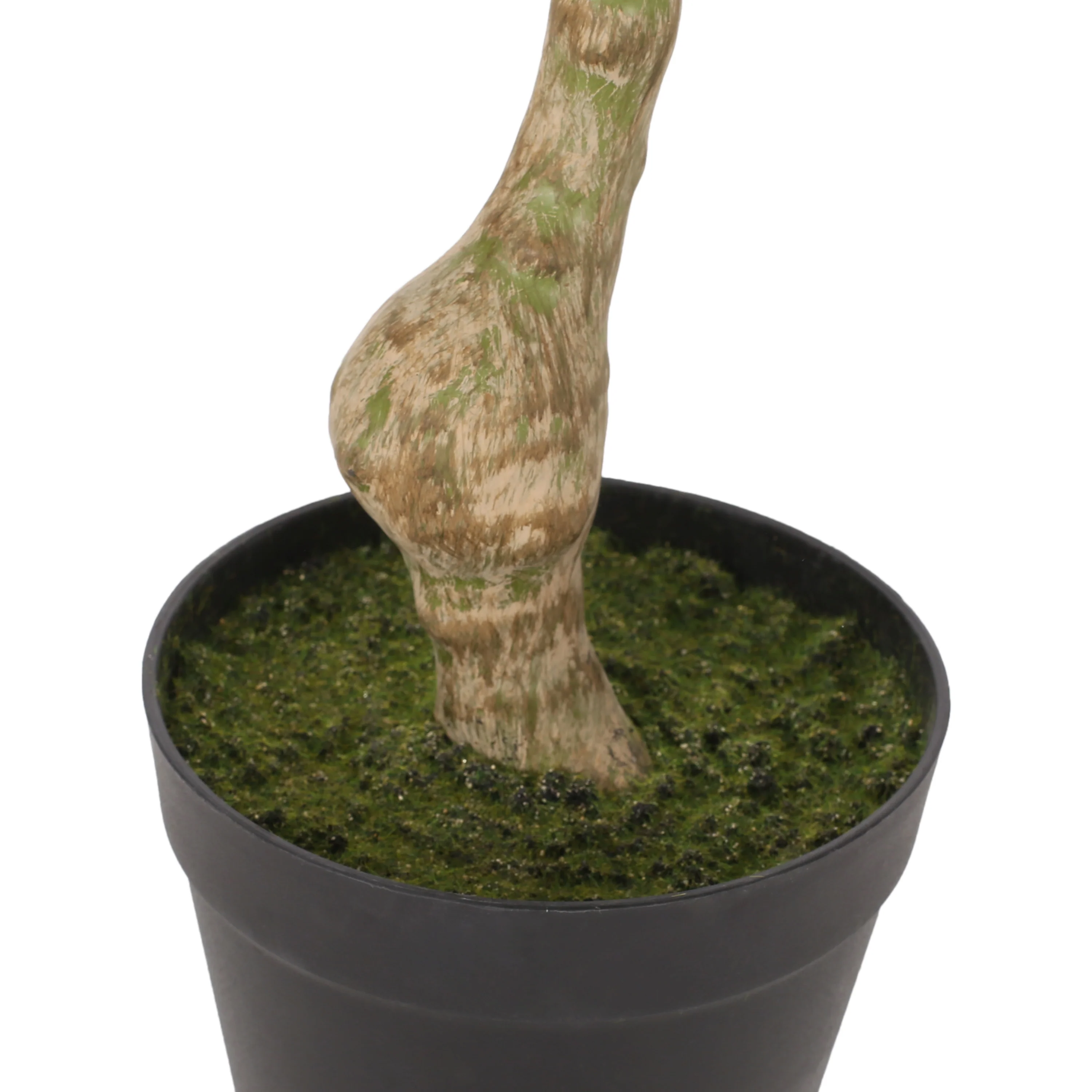 Coles Artificial Money Tree - furnishings