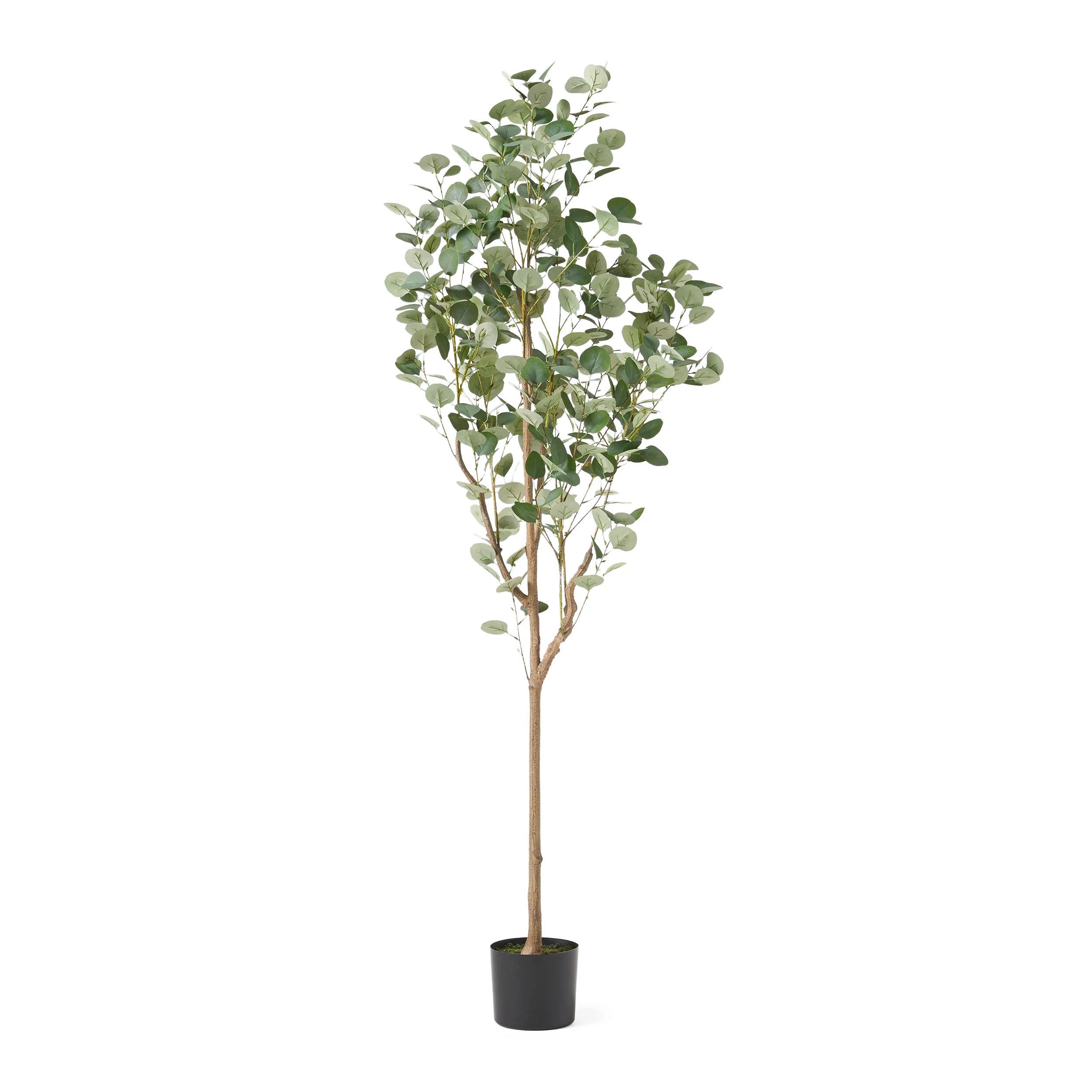 Davos Artificial Eucalyptus Tree - furnishings