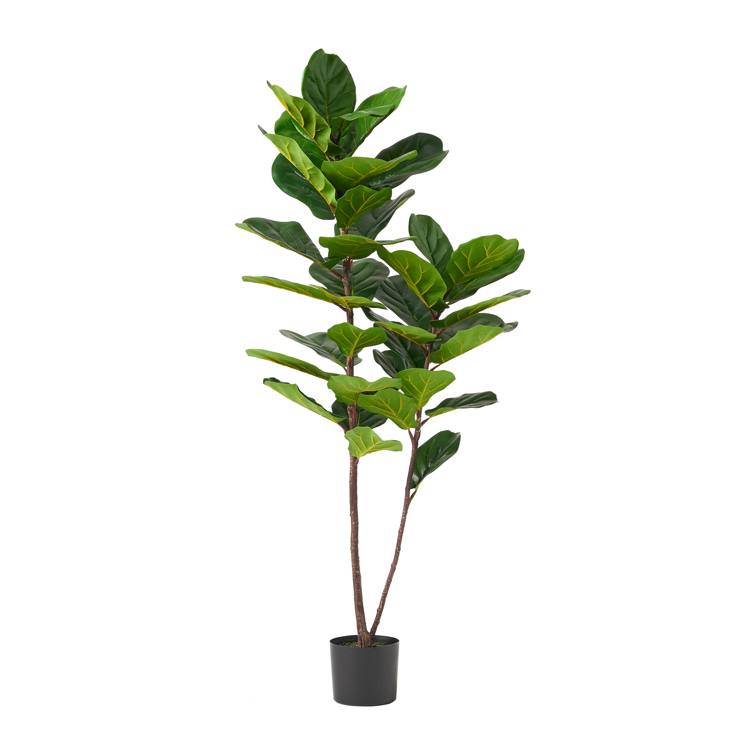 Stilwell Artificial Fiddle-Leaf Fig Tree - furnishings