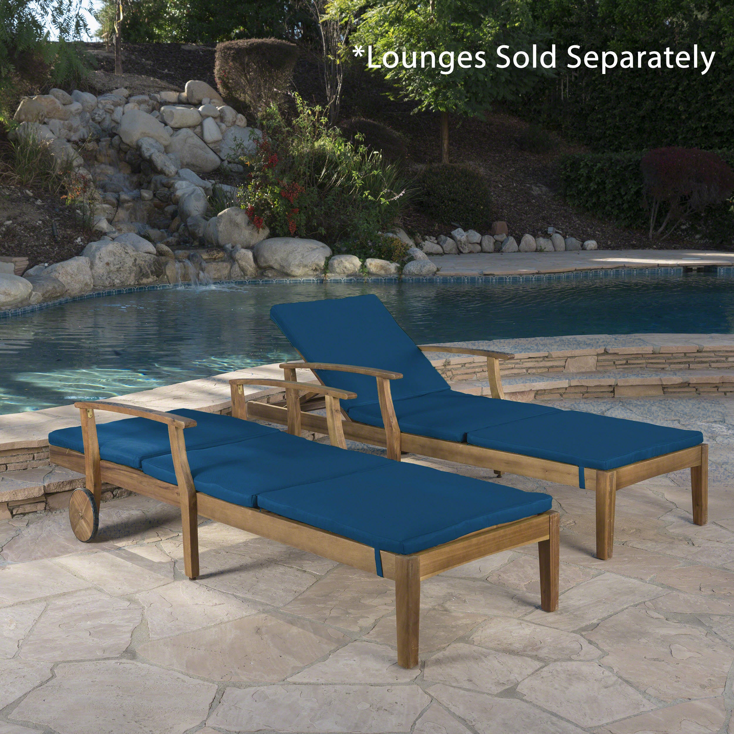 Daisy Outdoor Water Resistant Chaise Lounge Cushion (Set of 2) - furnishings