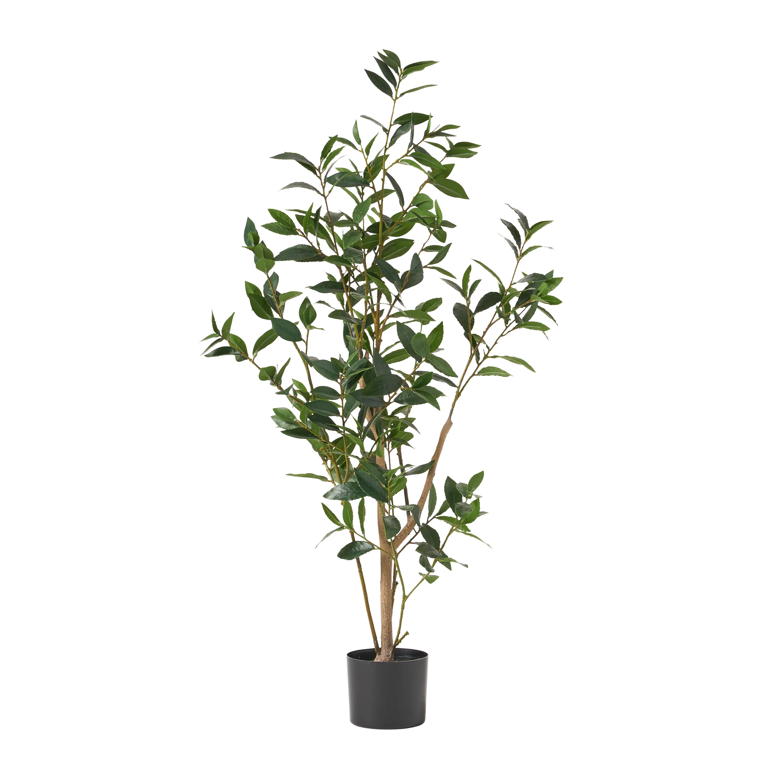 Forgan Artificial Laurel Tree - furnishings