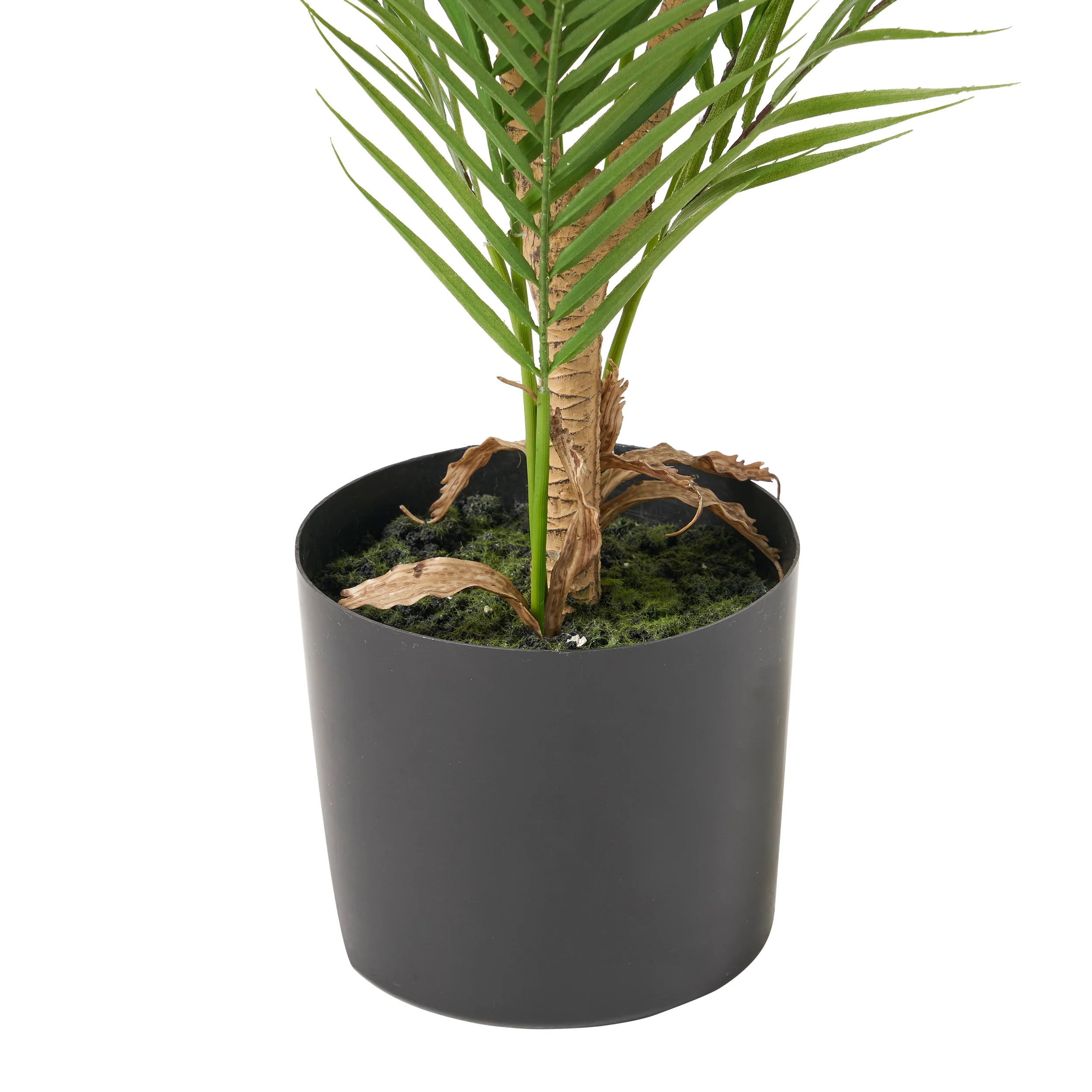 Abbeville Troup Artificial Palm Tree - furnishings
