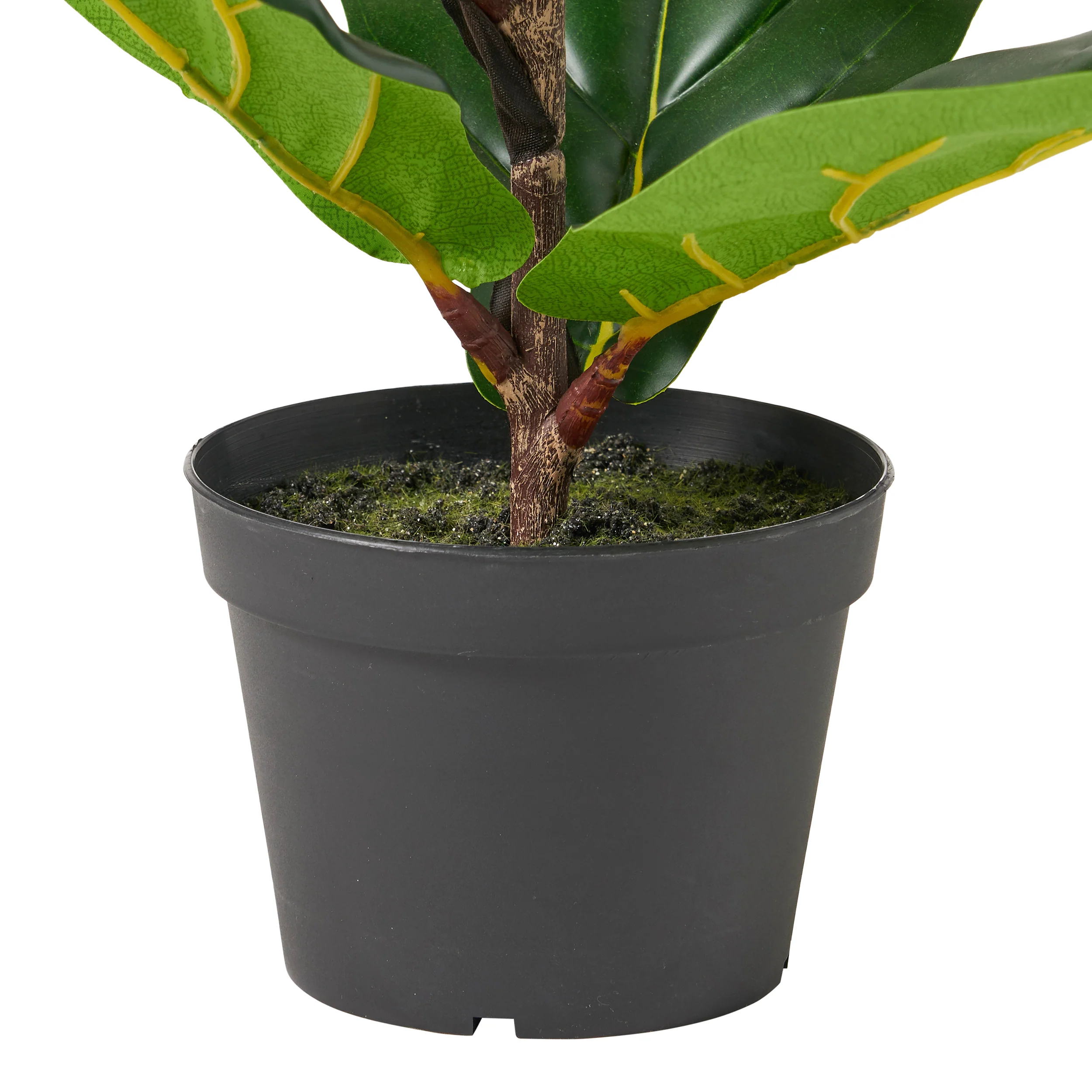 Stilwell Artificial Fiddle-Leaf Fig Tree - furnishings