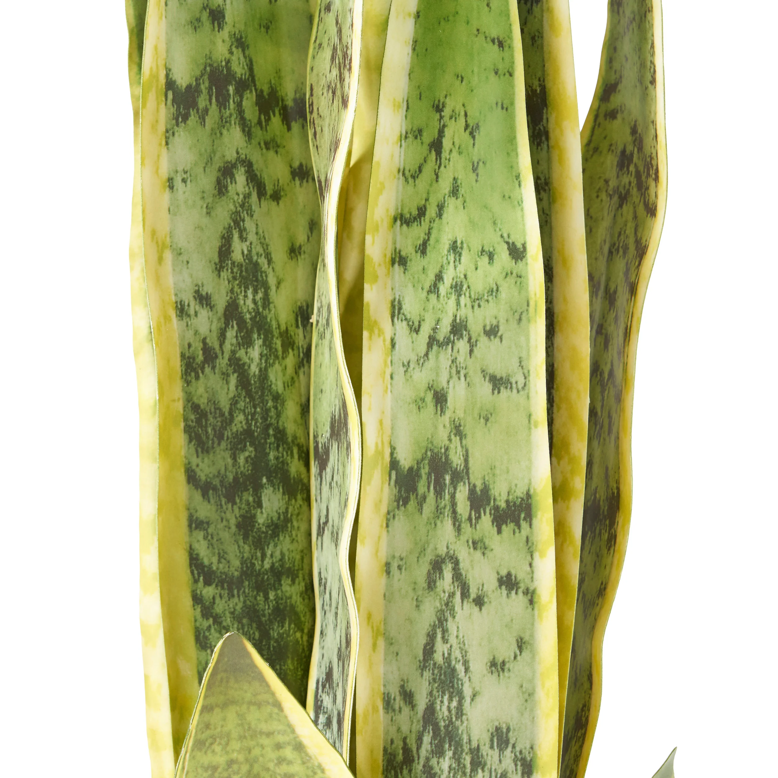 McClure Artificial Tabletop Snake Plant - furnishings