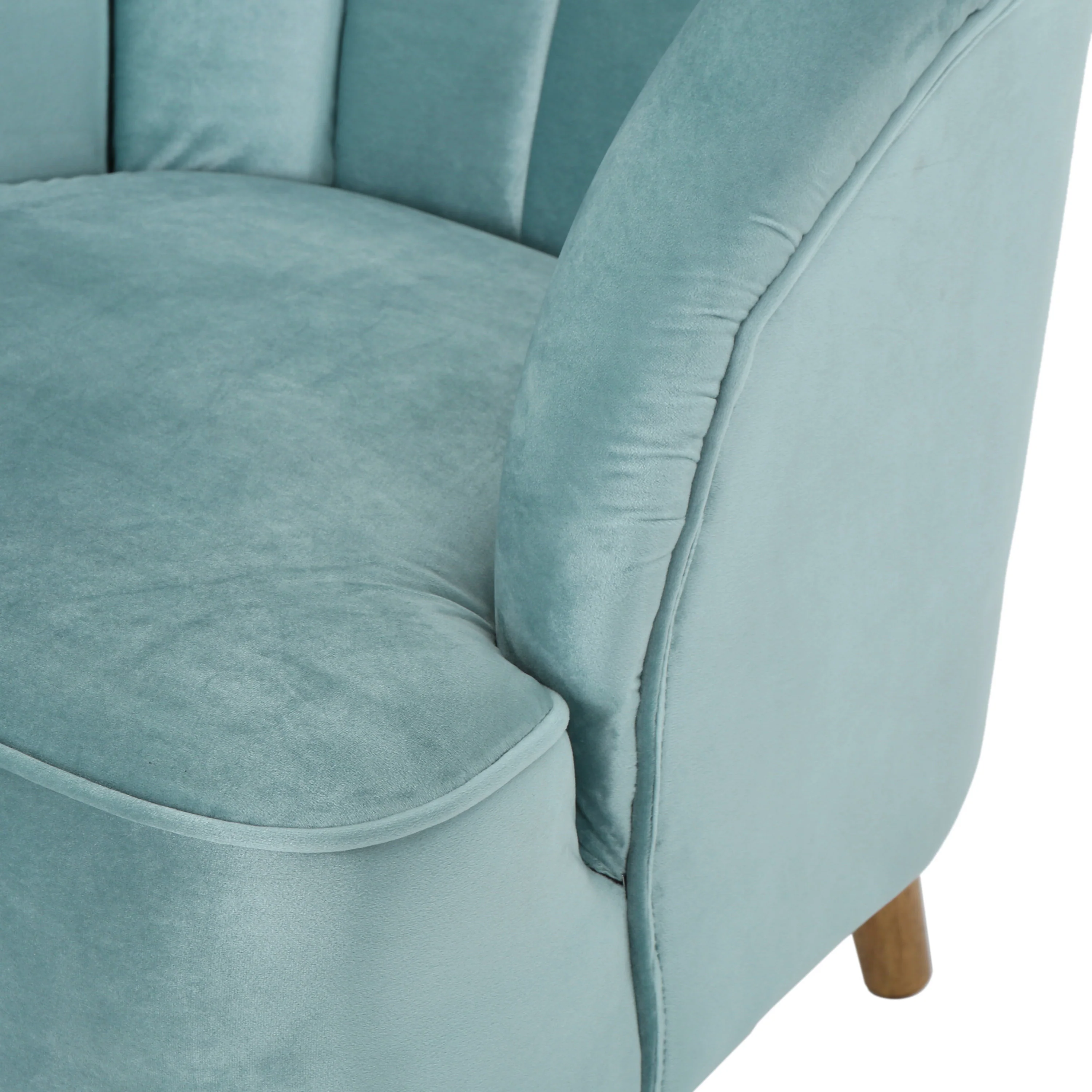Scarlett Modern Velvet Accent Chair (Set of 2) - furnishings