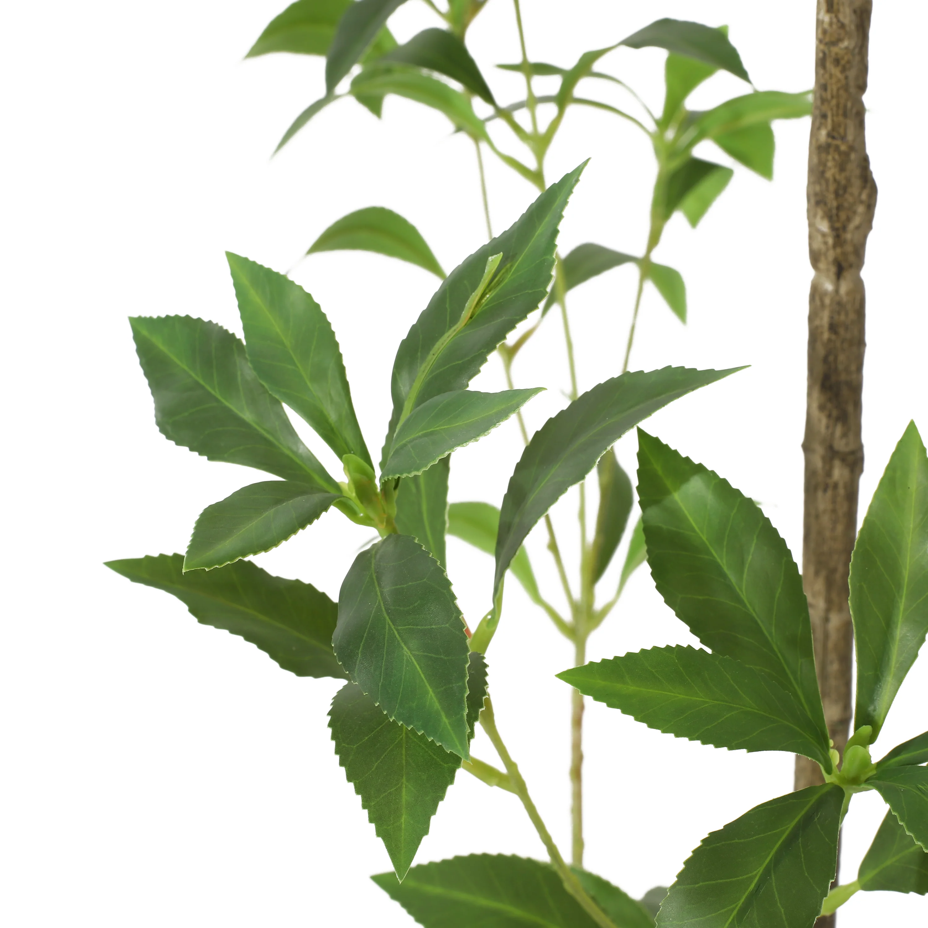 Purling Artificial Pieris Tree - furnishings