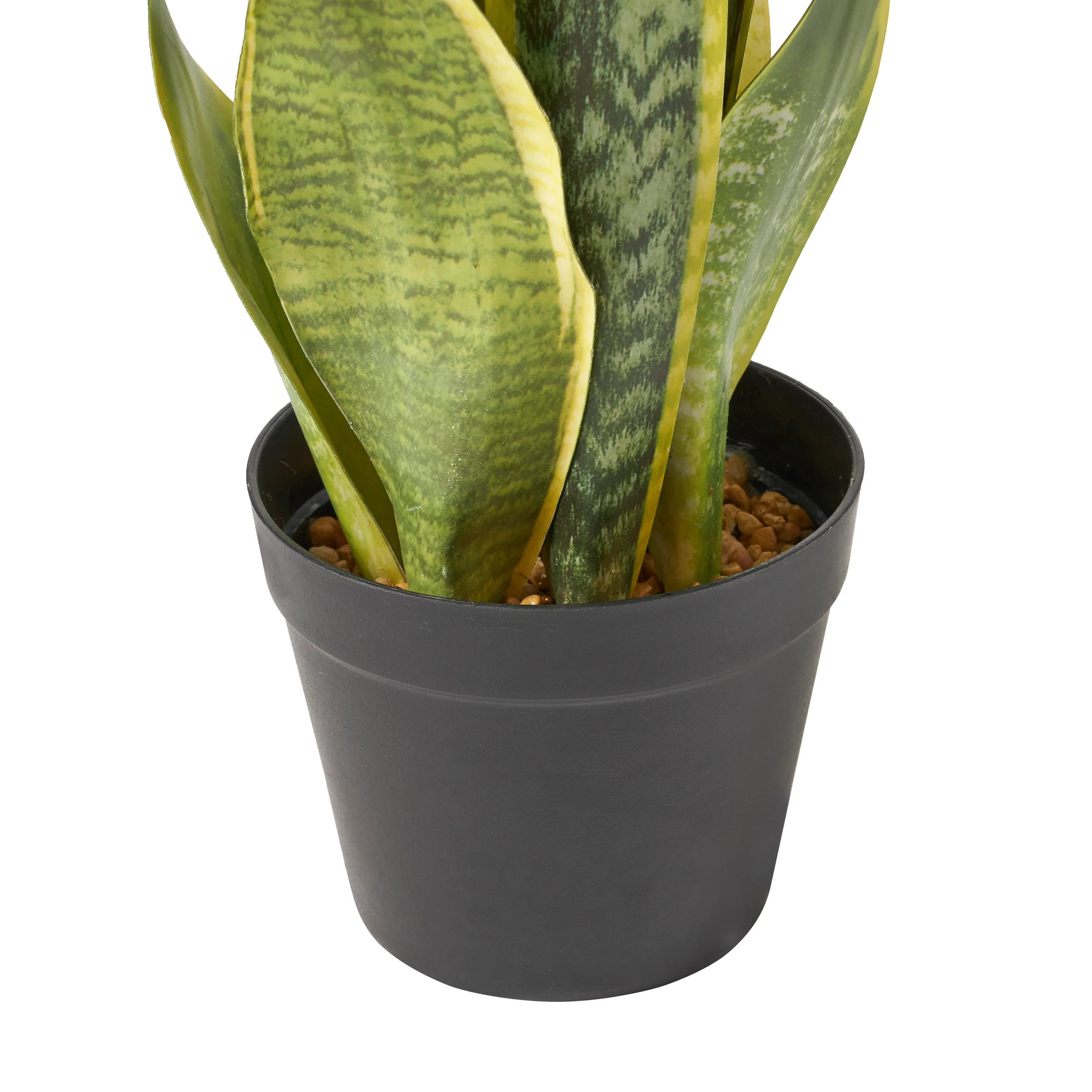 McClure Artificial Tabletop Snake Plant - furnishings