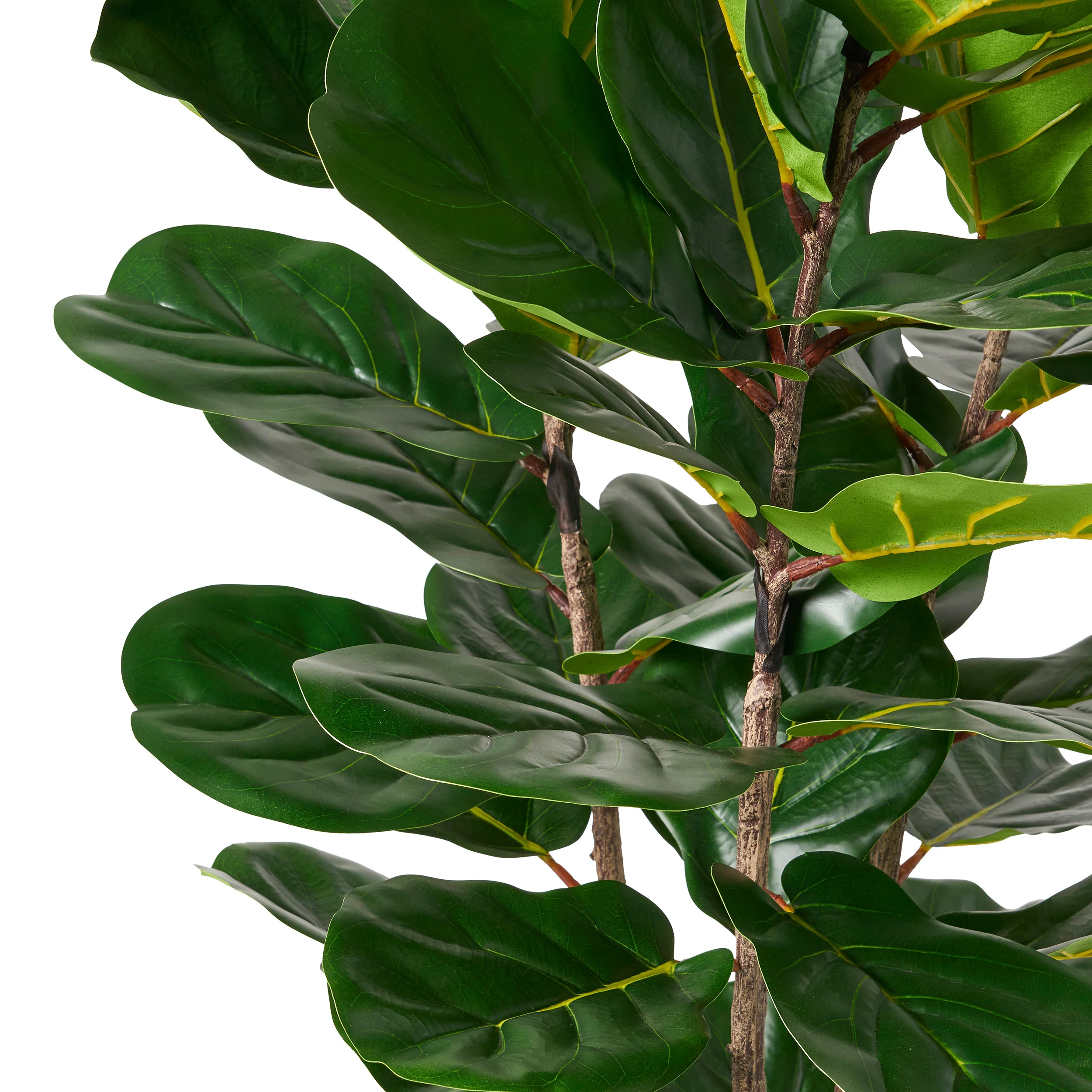Stilwell Artificial Fiddle-Leaf Fig Tree - furnishings
