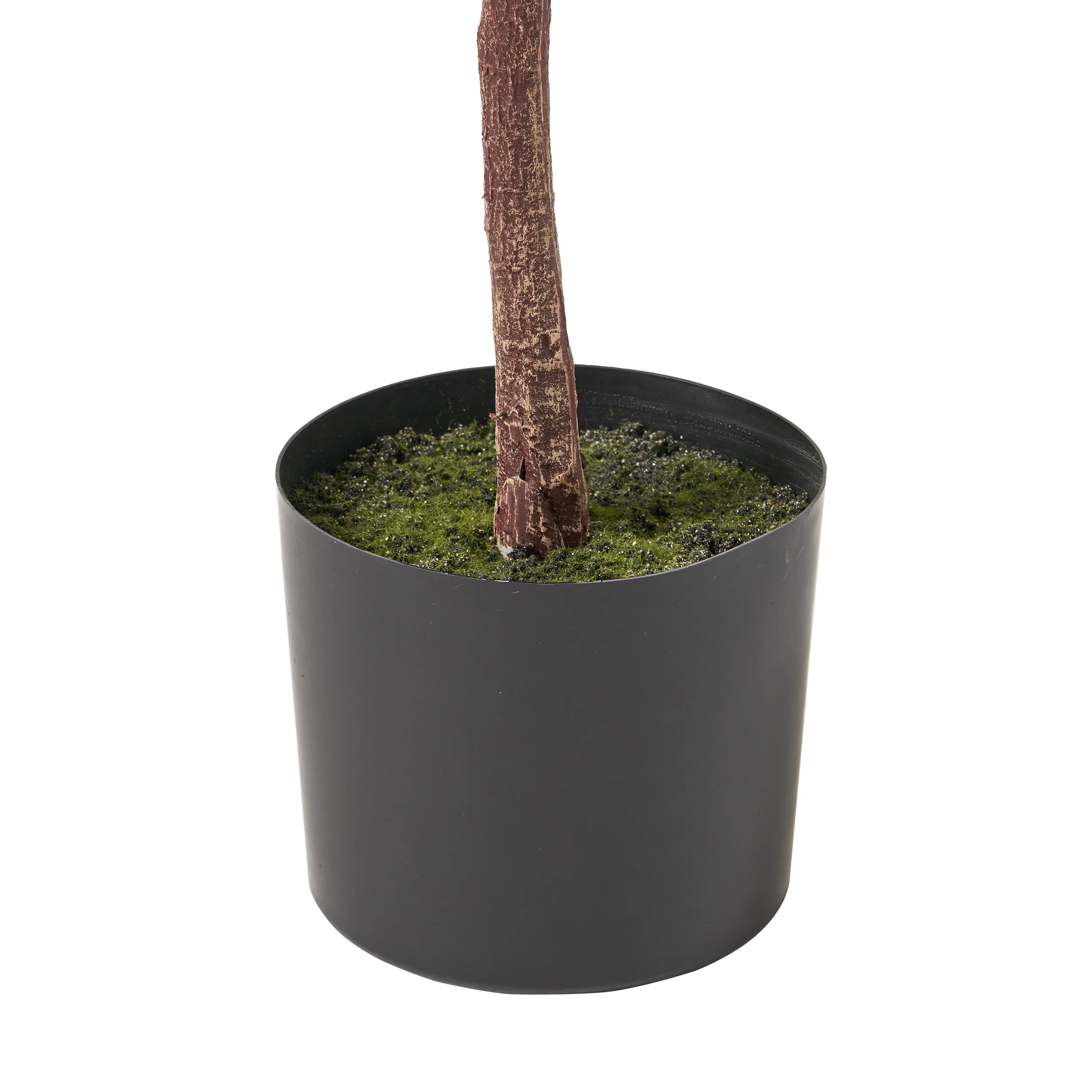 Stilwell Artificial Fiddle-Leaf Fig Tree - furnishings