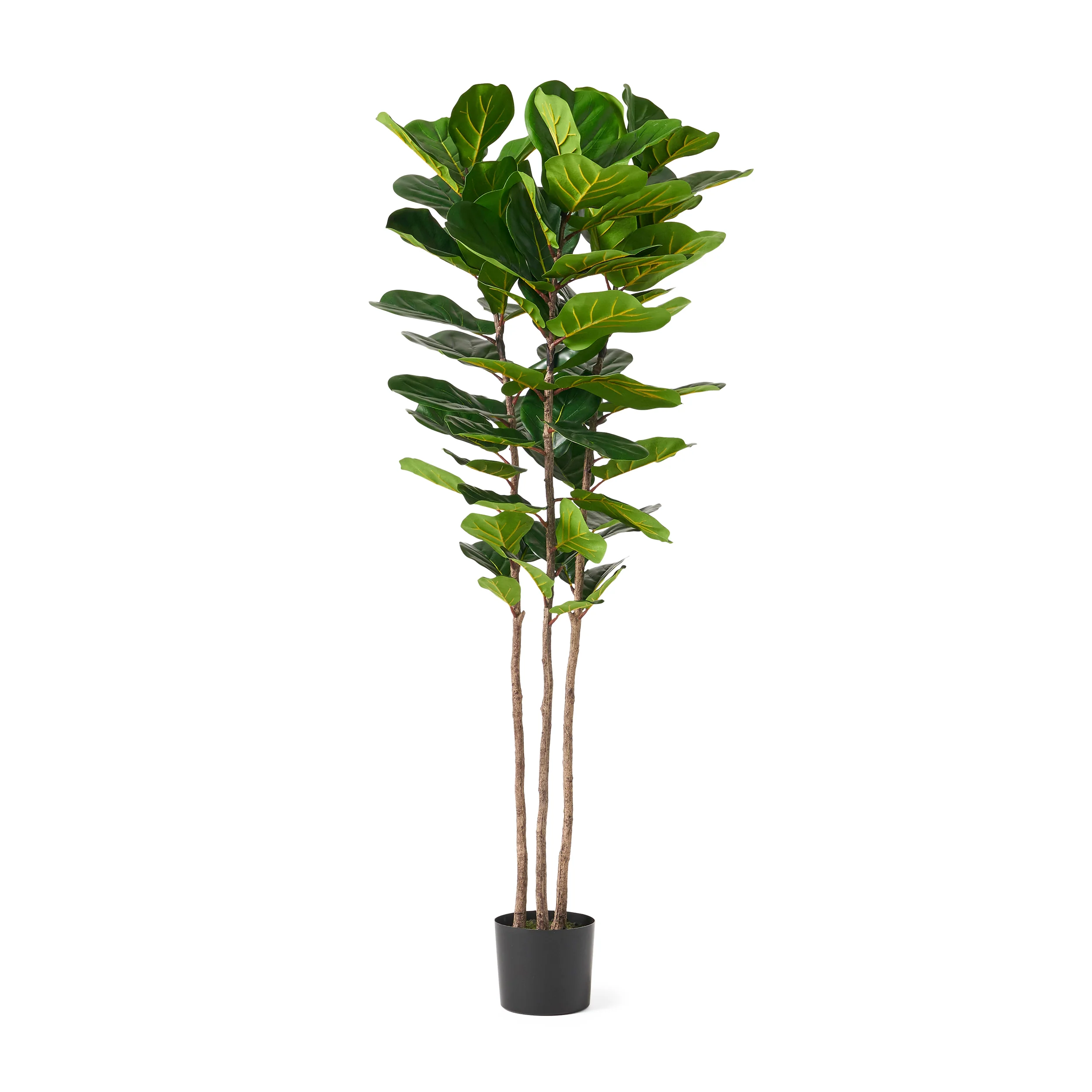 Stilwell Artificial Fiddle-Leaf Fig Tree - furnishings