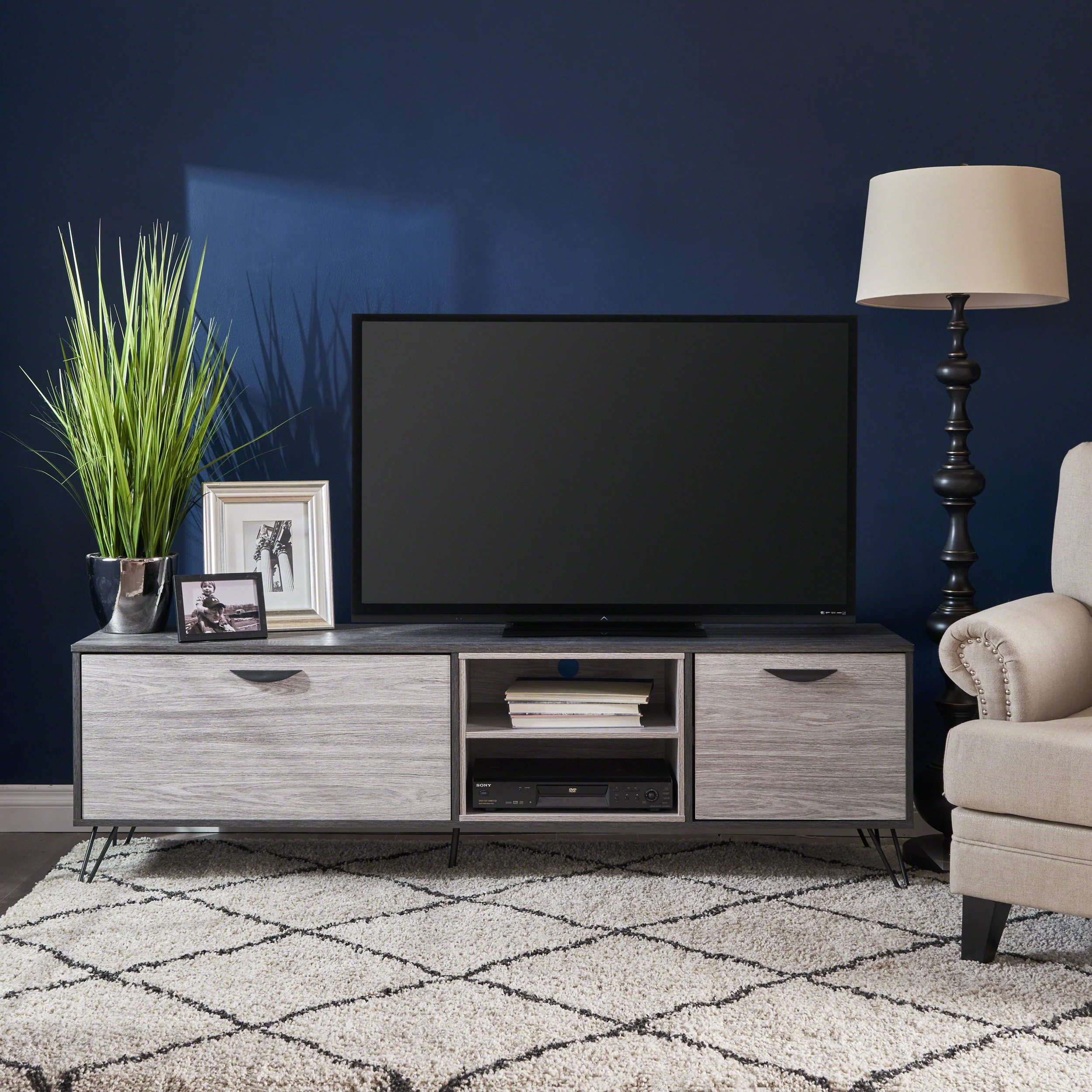 Vivian Mid Century Modern 2 Cabinets & Shelves TV Stand - furnishings