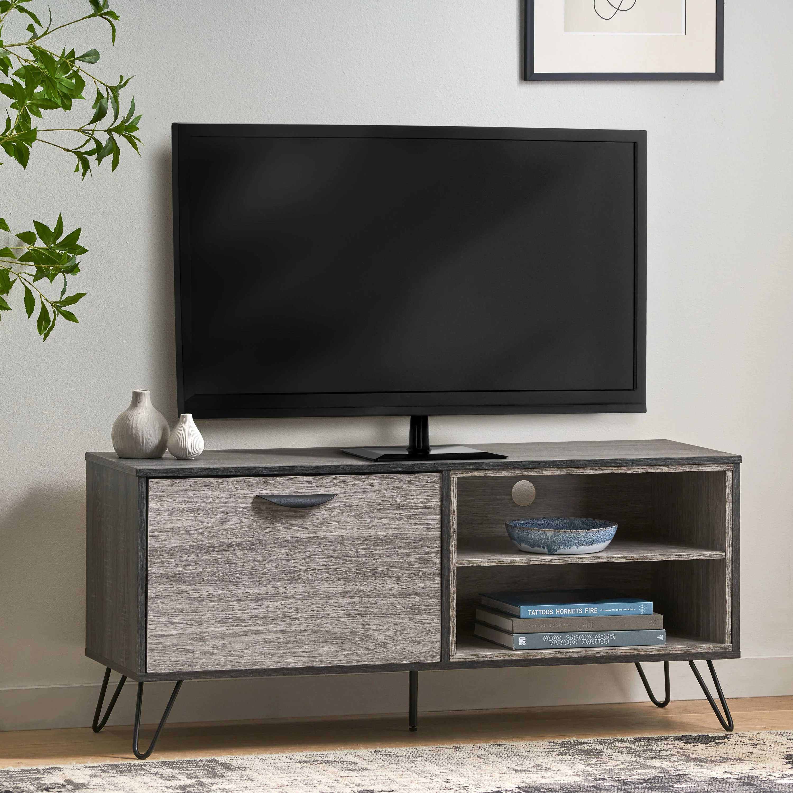 Vivian Mid Century Modern Cabinet & Shelves TV Stand - furnishings